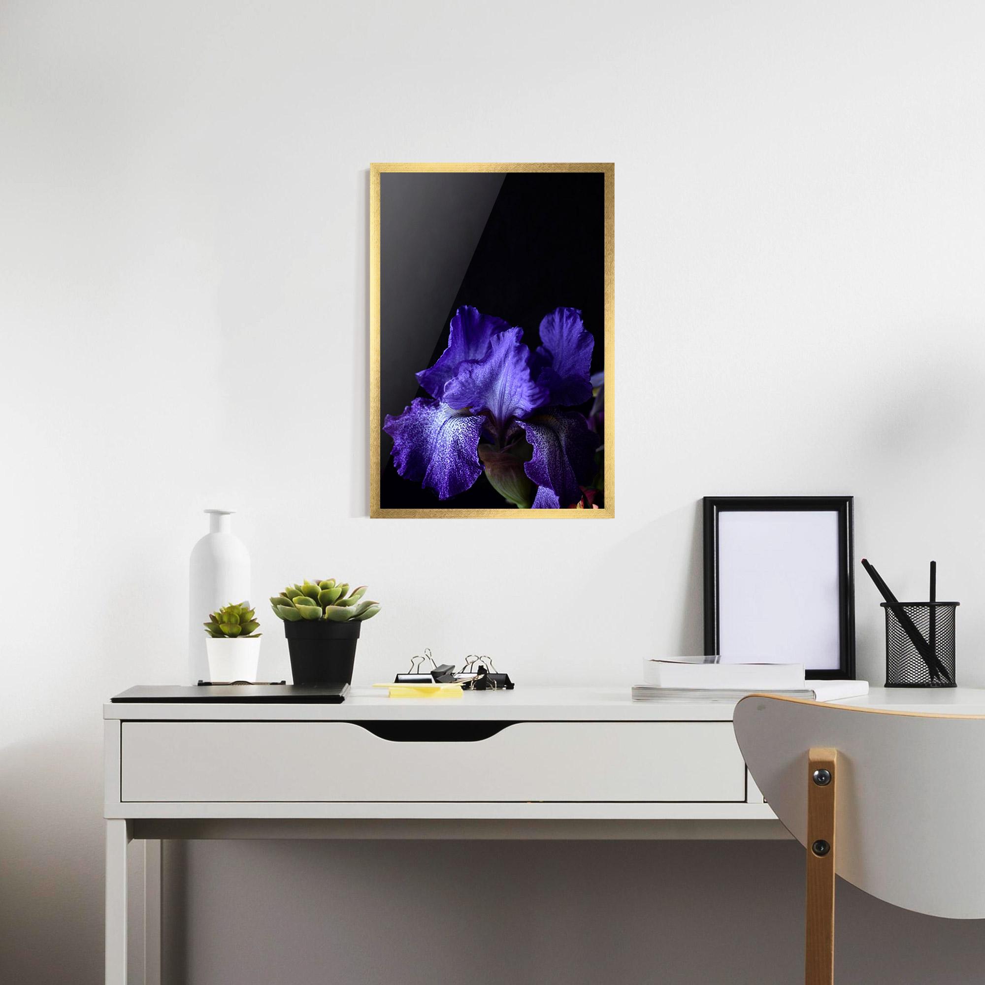 Poster Înrămat Dark Purple Iris On Black mockup 7