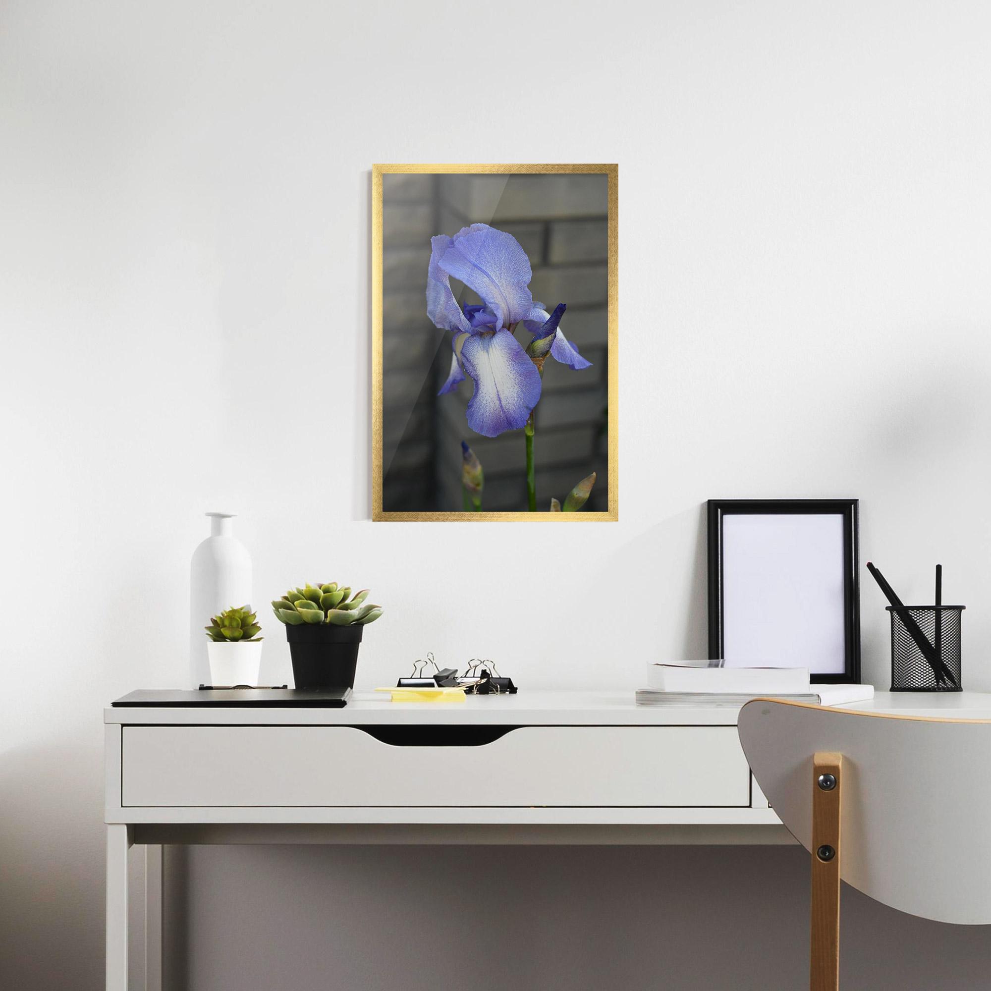 Poster Înrămat Purple Iris On Gray mockup 7