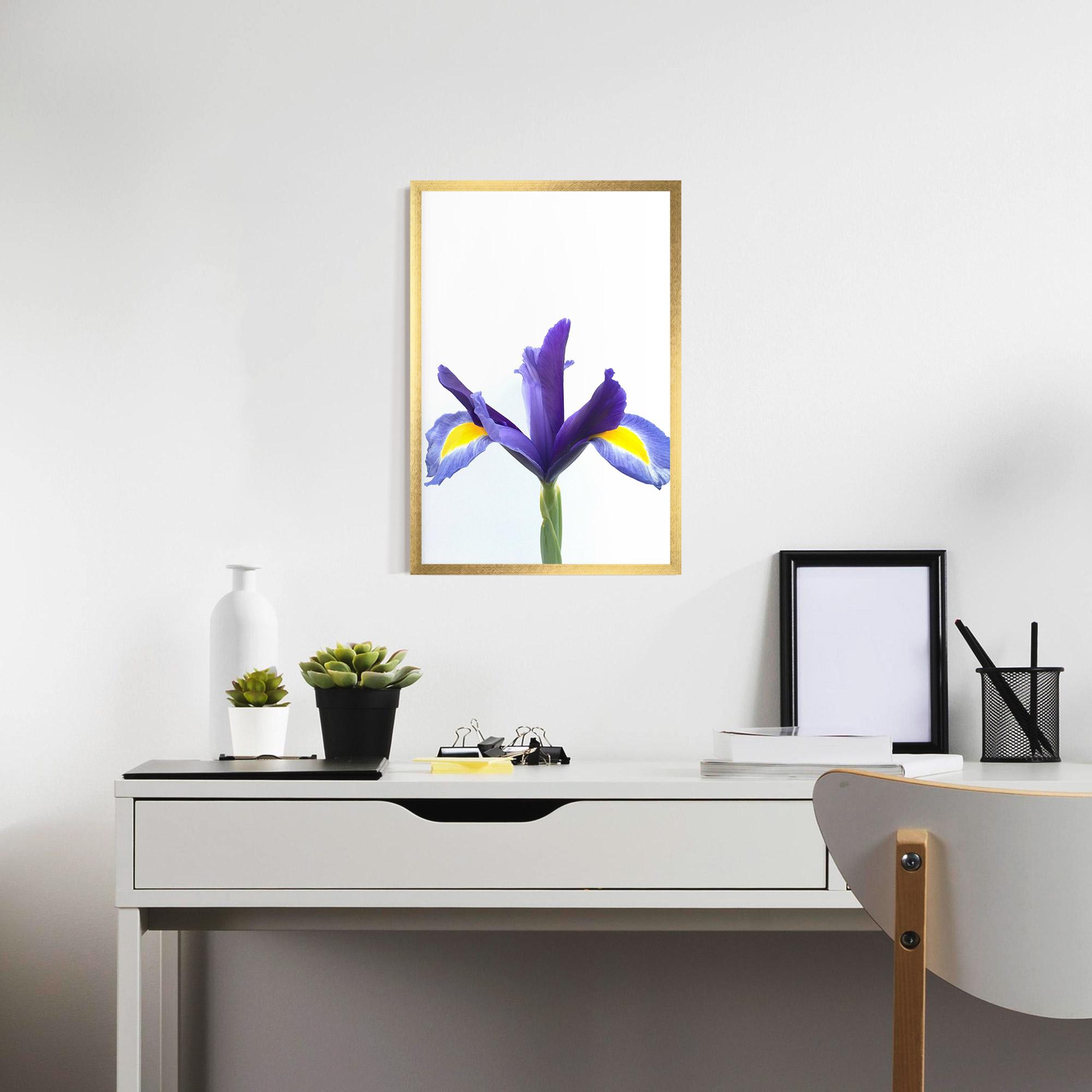 Poster Înrămat Yellow Color Iris mockup 7