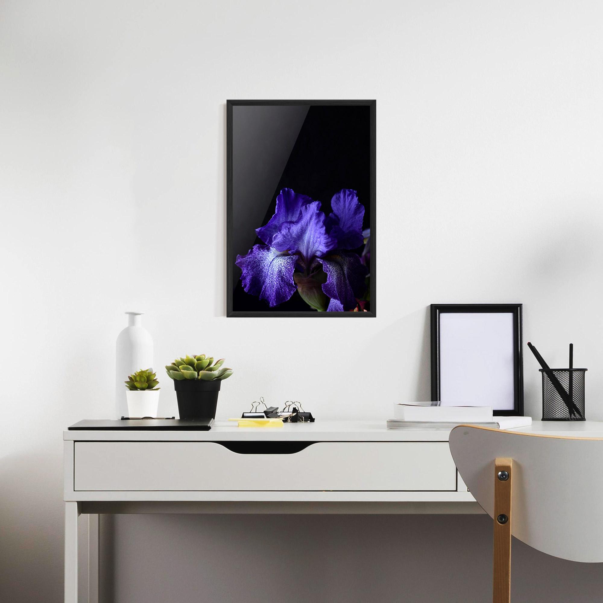 Poster Înrămat Dark Purple Iris On Black mockup 7