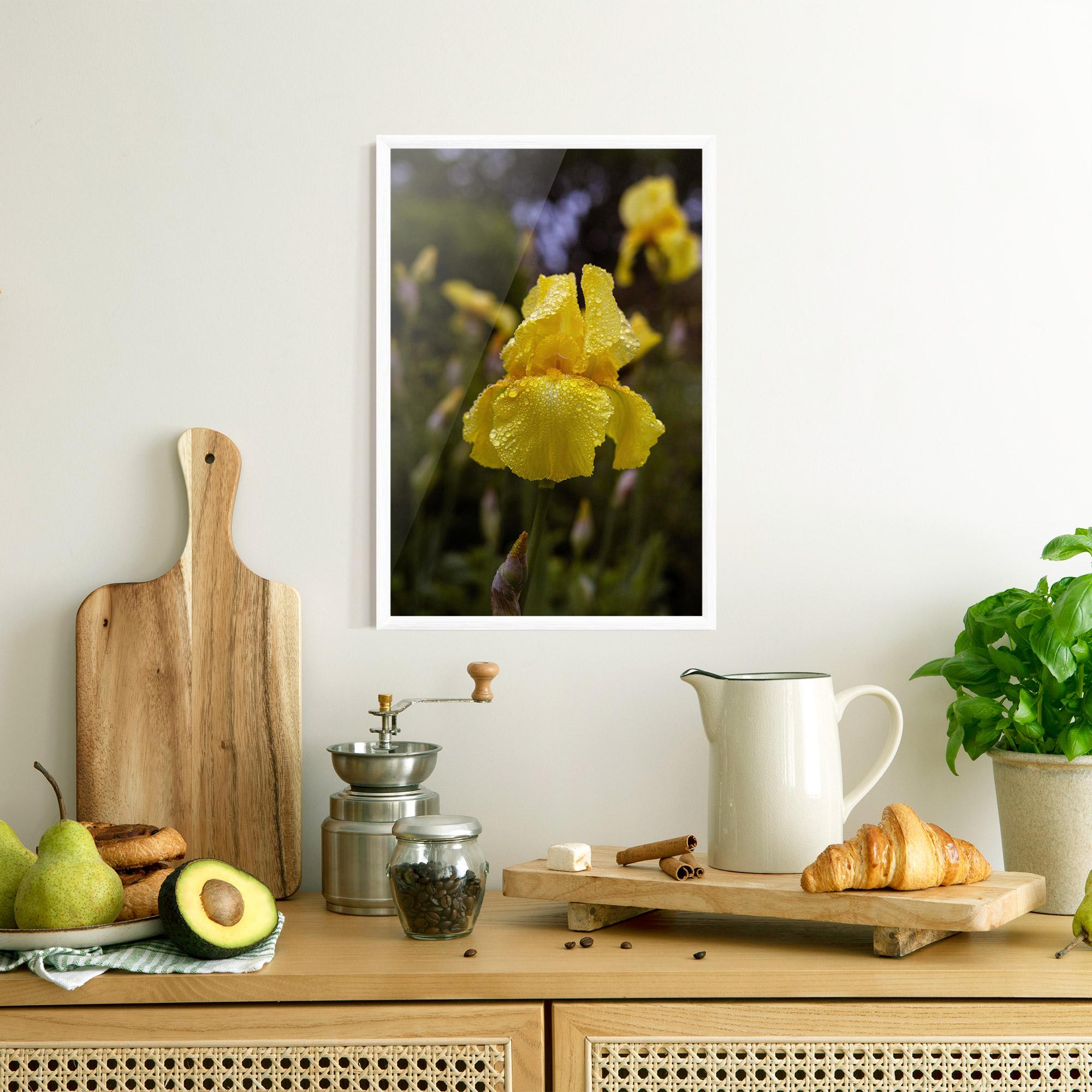 Poster Înrămat Yellow Iris After Rain mockup 8