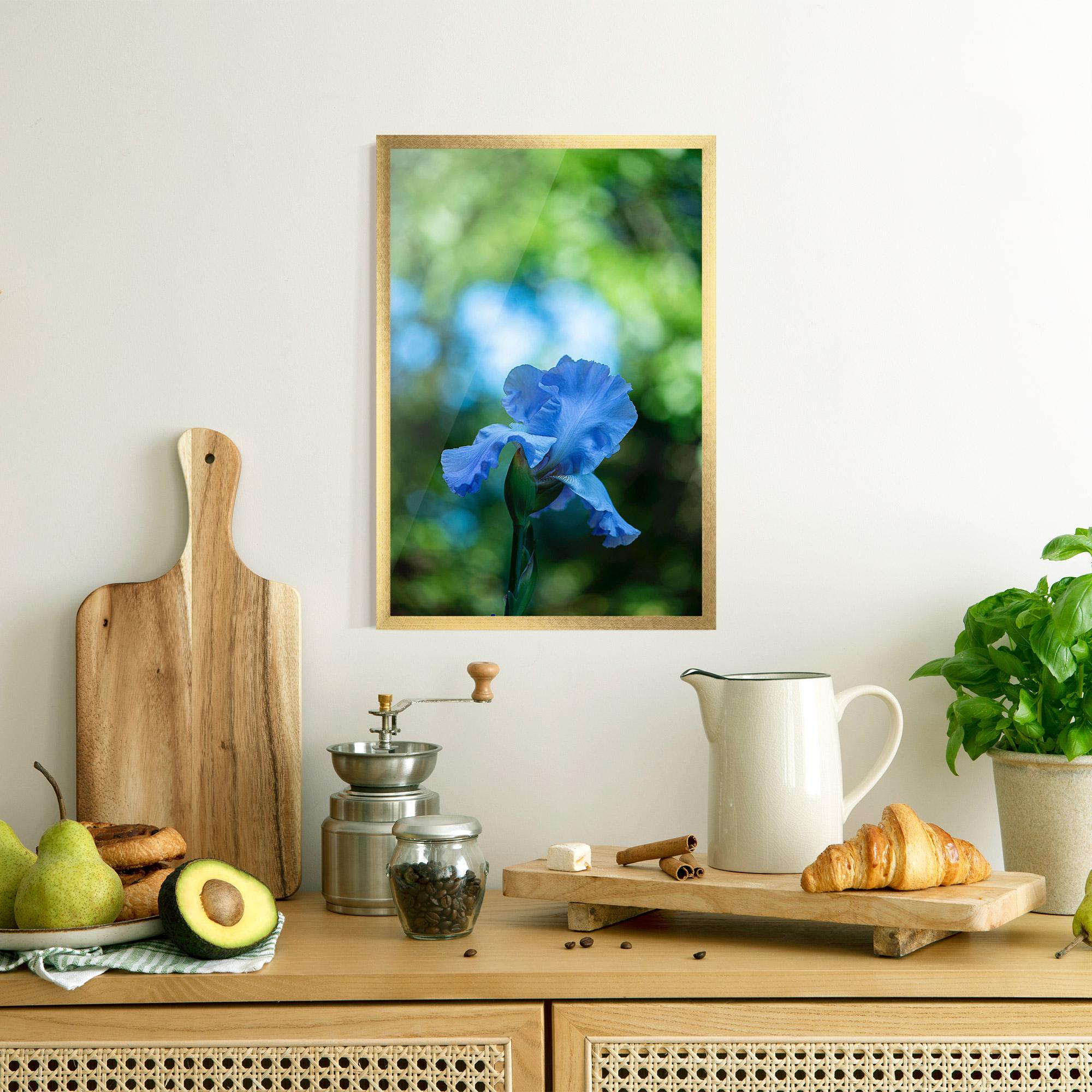 Poster Înrămat Blue Iris In The Garden mockup 8