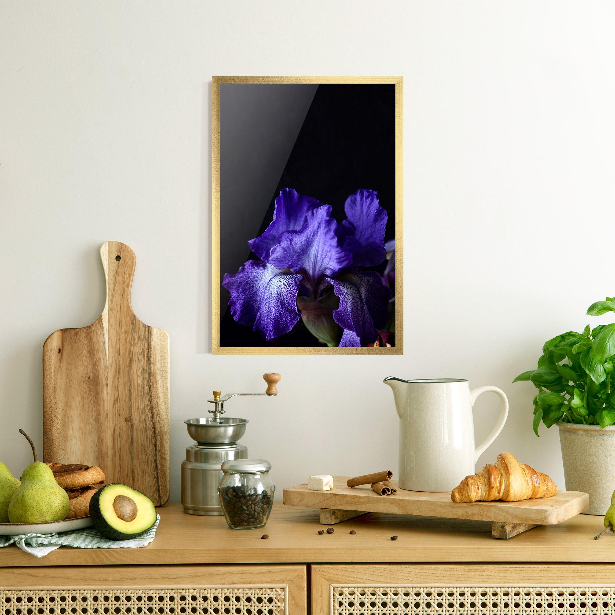 Poster Înrămat Dark Purple Iris On Black mockup 8