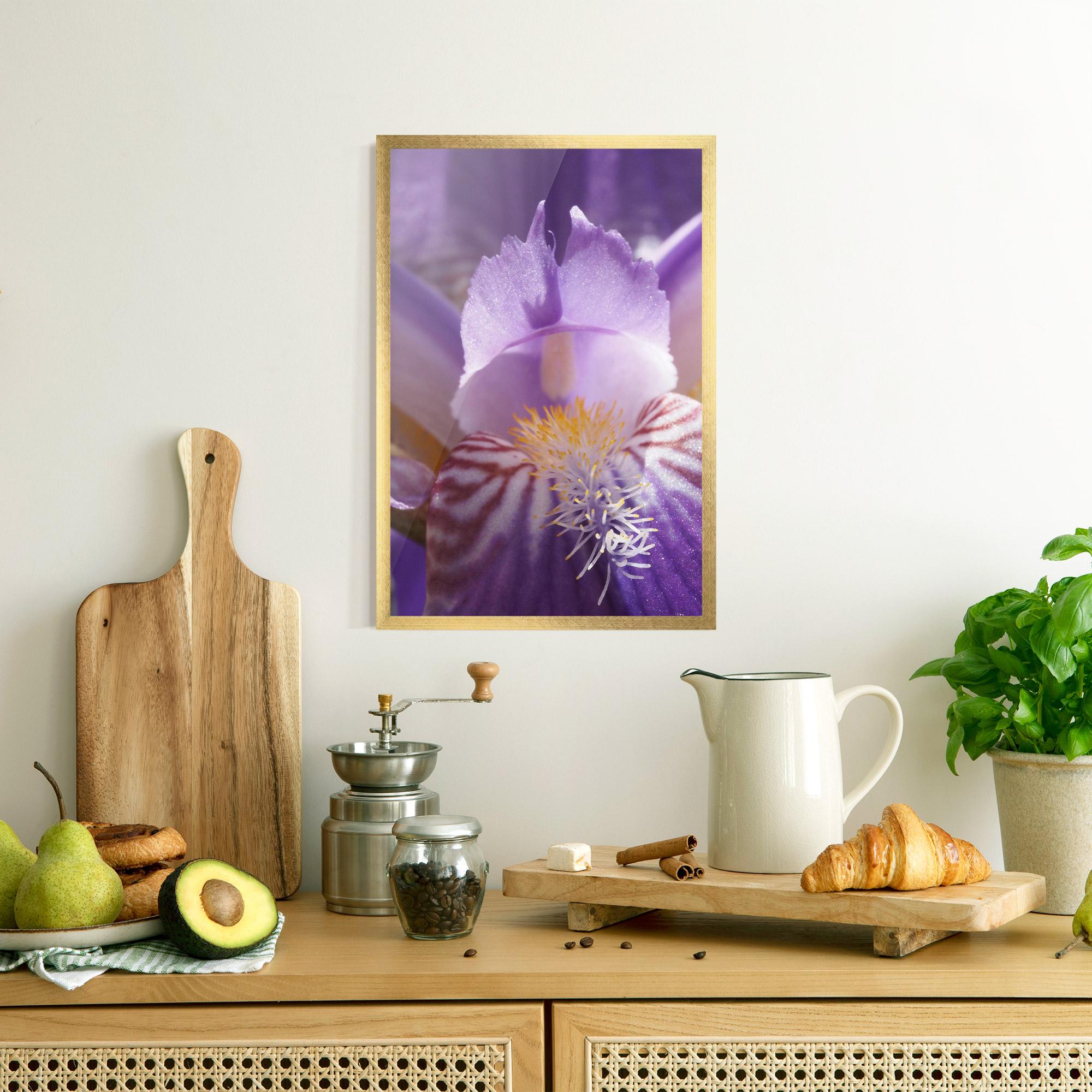 Poster Înrămat Purple Iris Close Up mockup 8