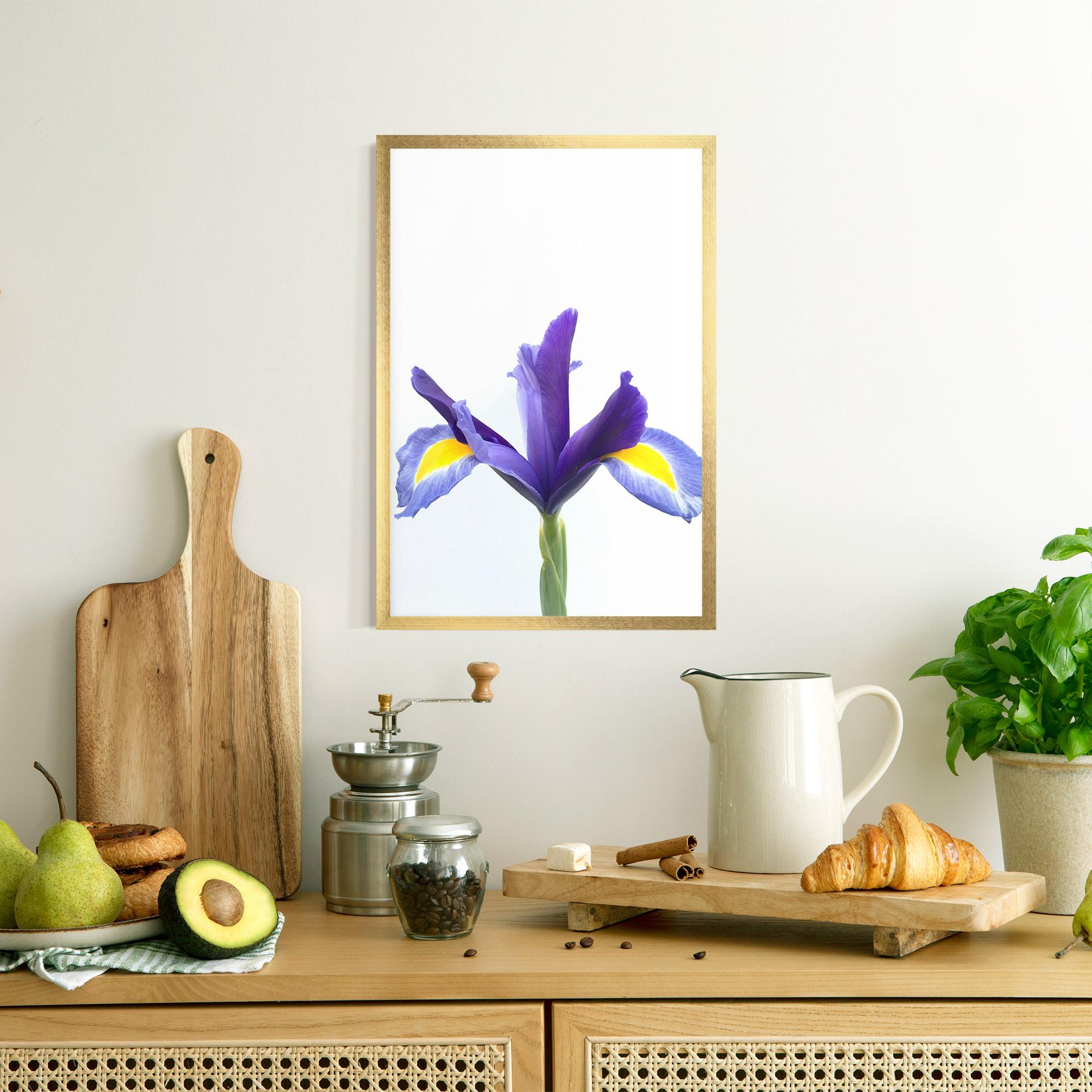 Poster Înrămat Yellow Color Iris mockup 8