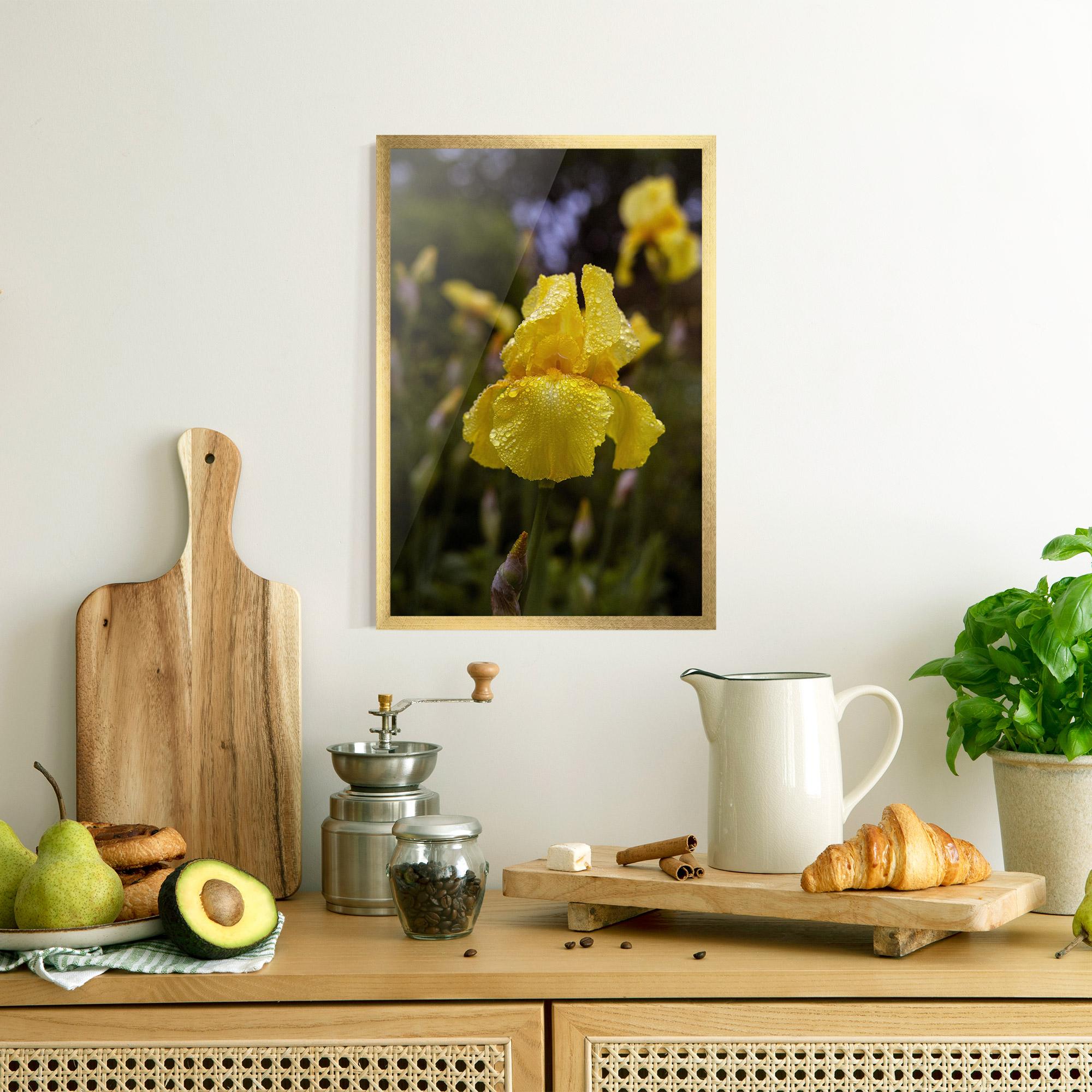 Poster Înrămat Yellow Iris After Rain mockup 8