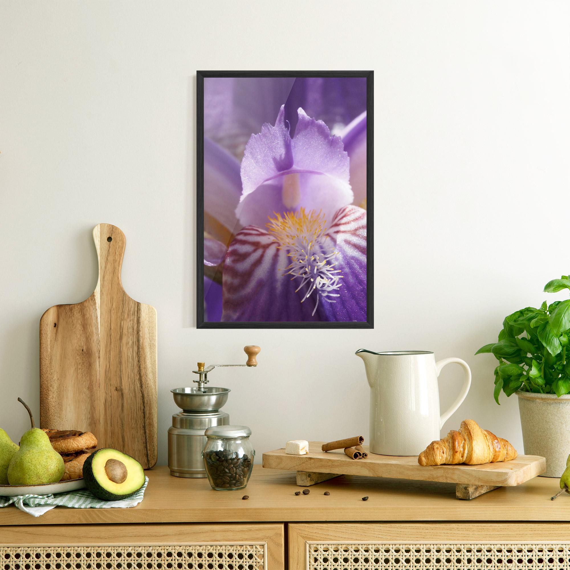 Poster Înrămat Purple Iris Close Up mockup 8