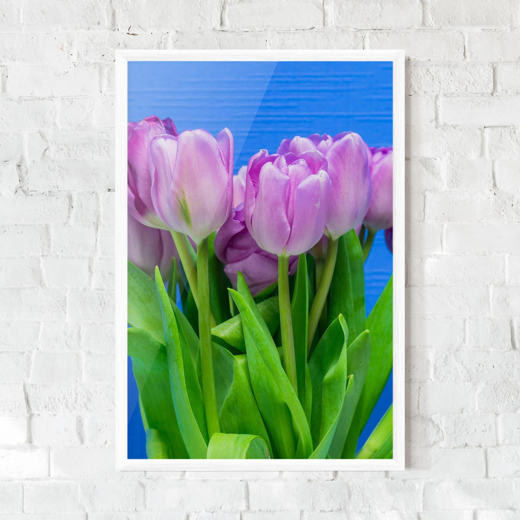 Poster Înrămat Purple Tulips On Blue mockup 0
