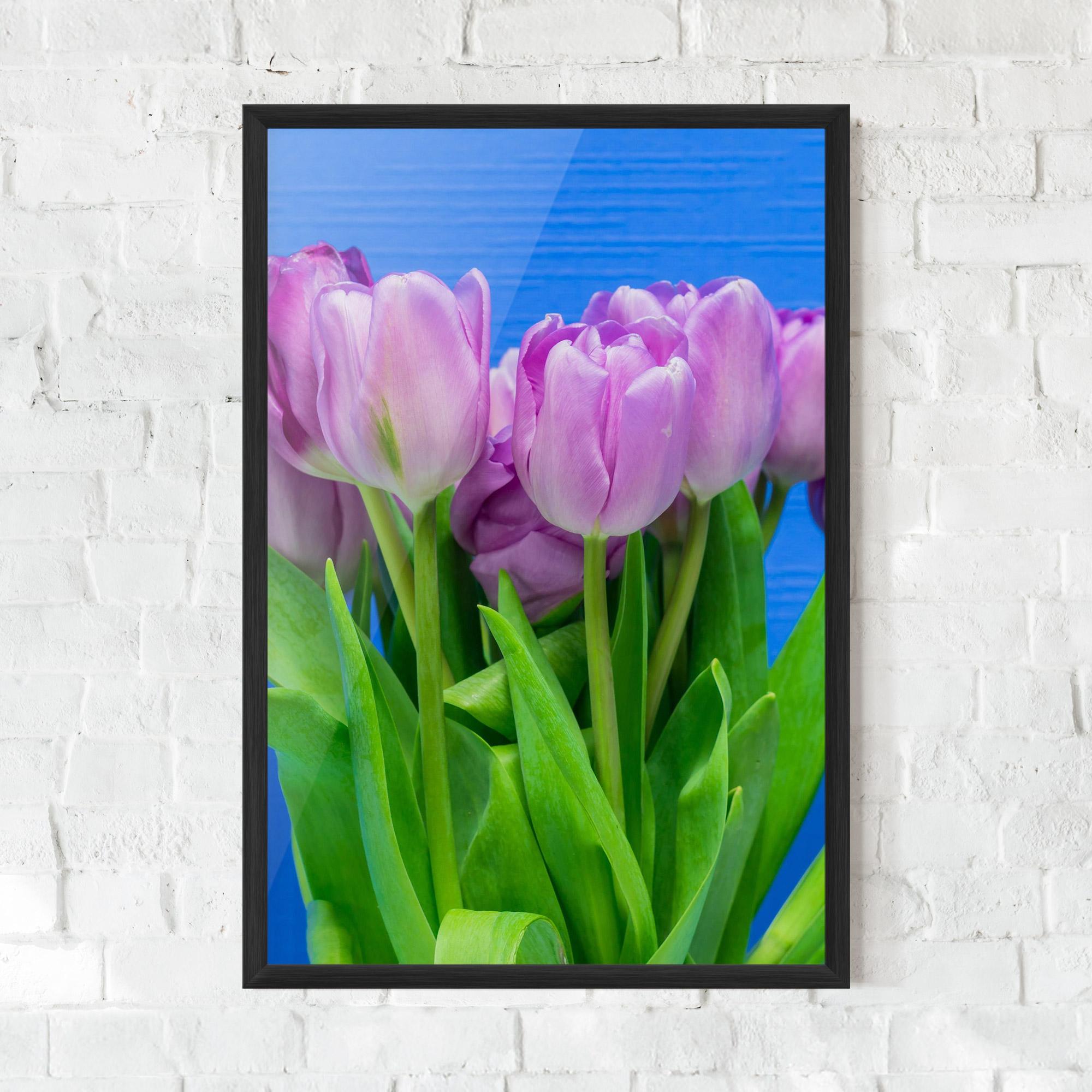 Poster Înrămat Purple Tulips On Blue mockup 0