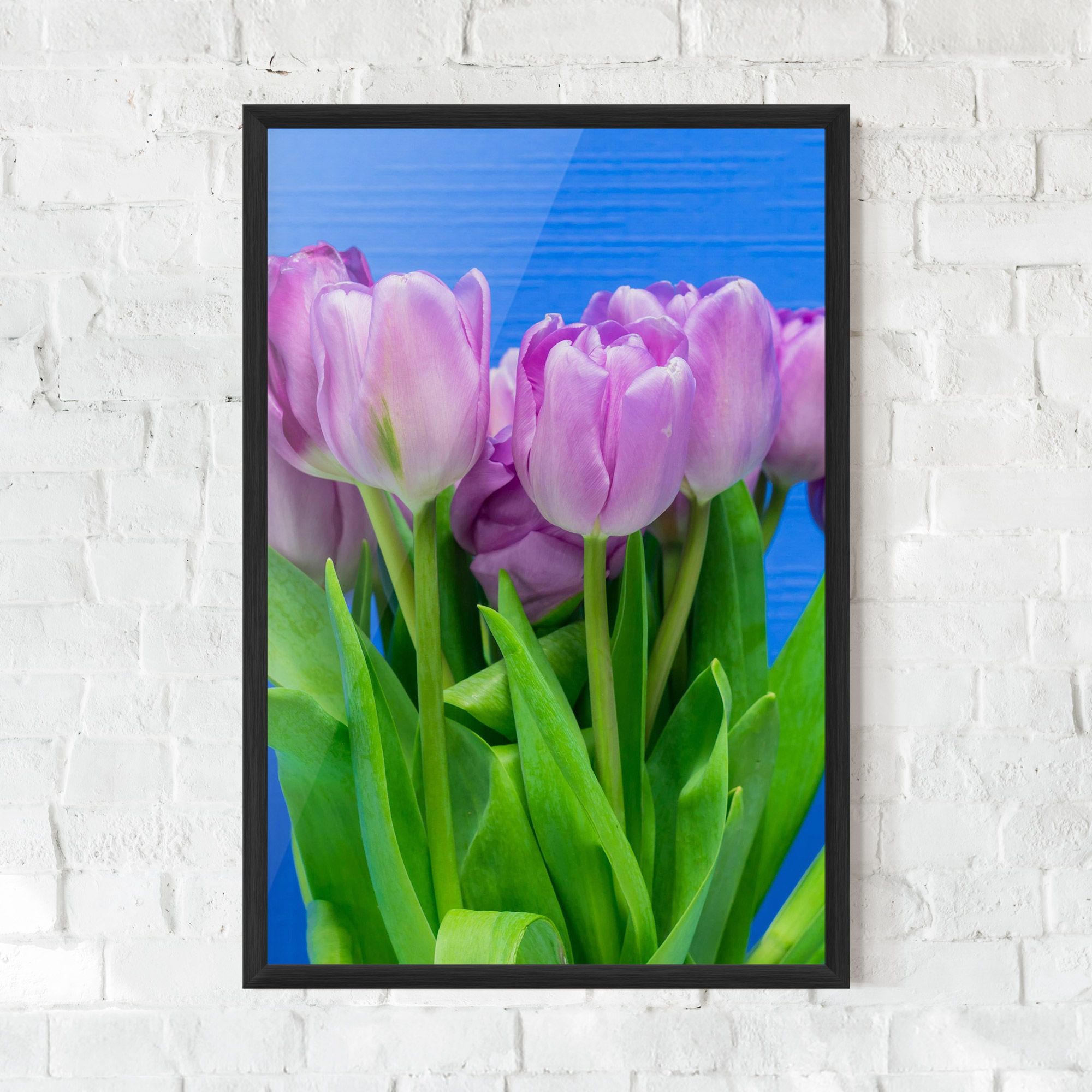 Purple Tulips On Blue mockup 0