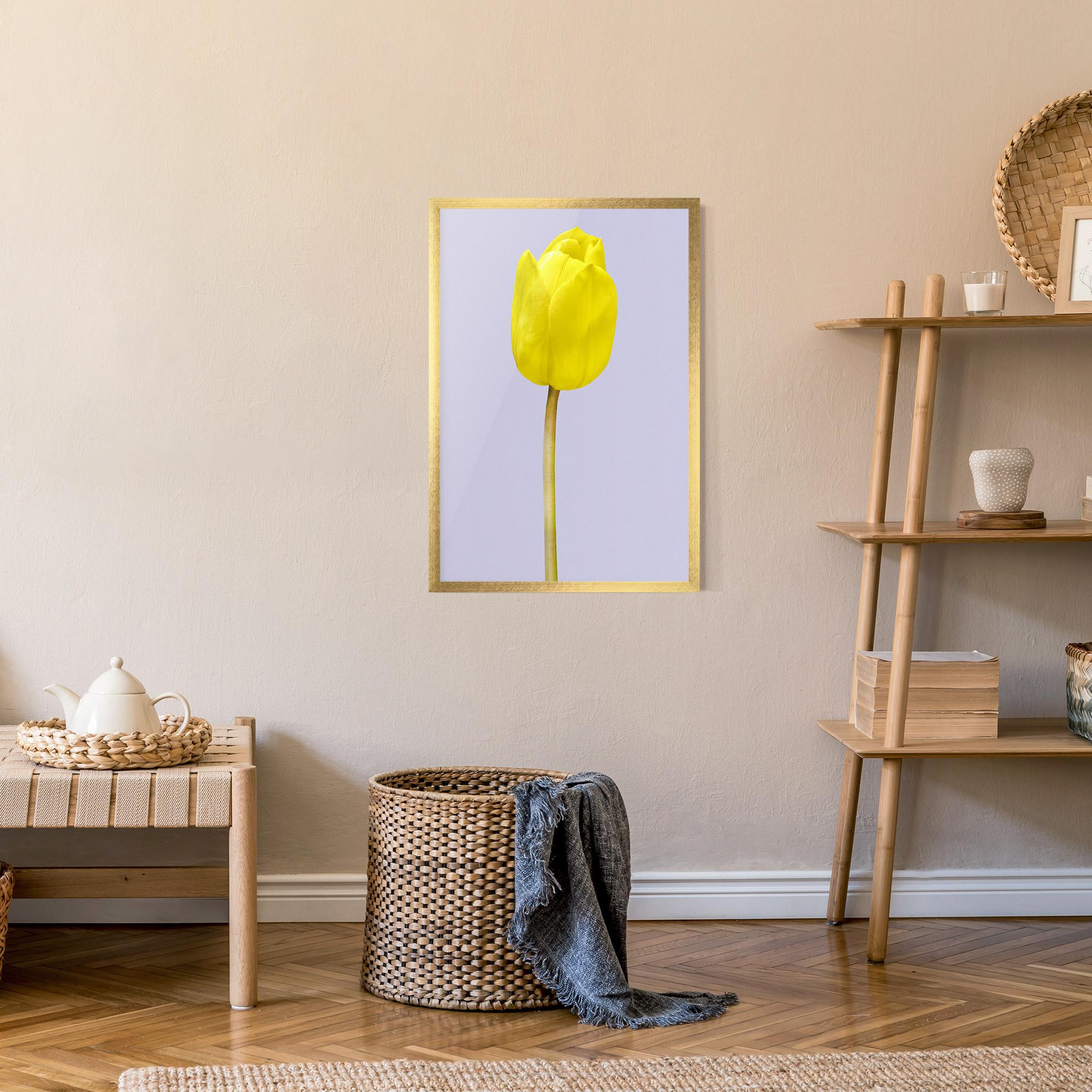 Poster Înrămat One Yellow Tulip mockup 9