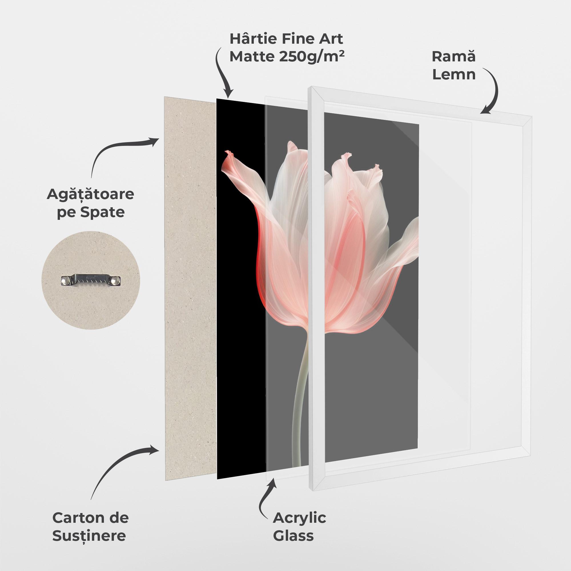 Poster Înrămat Pastel Pink Tulip mockup 1