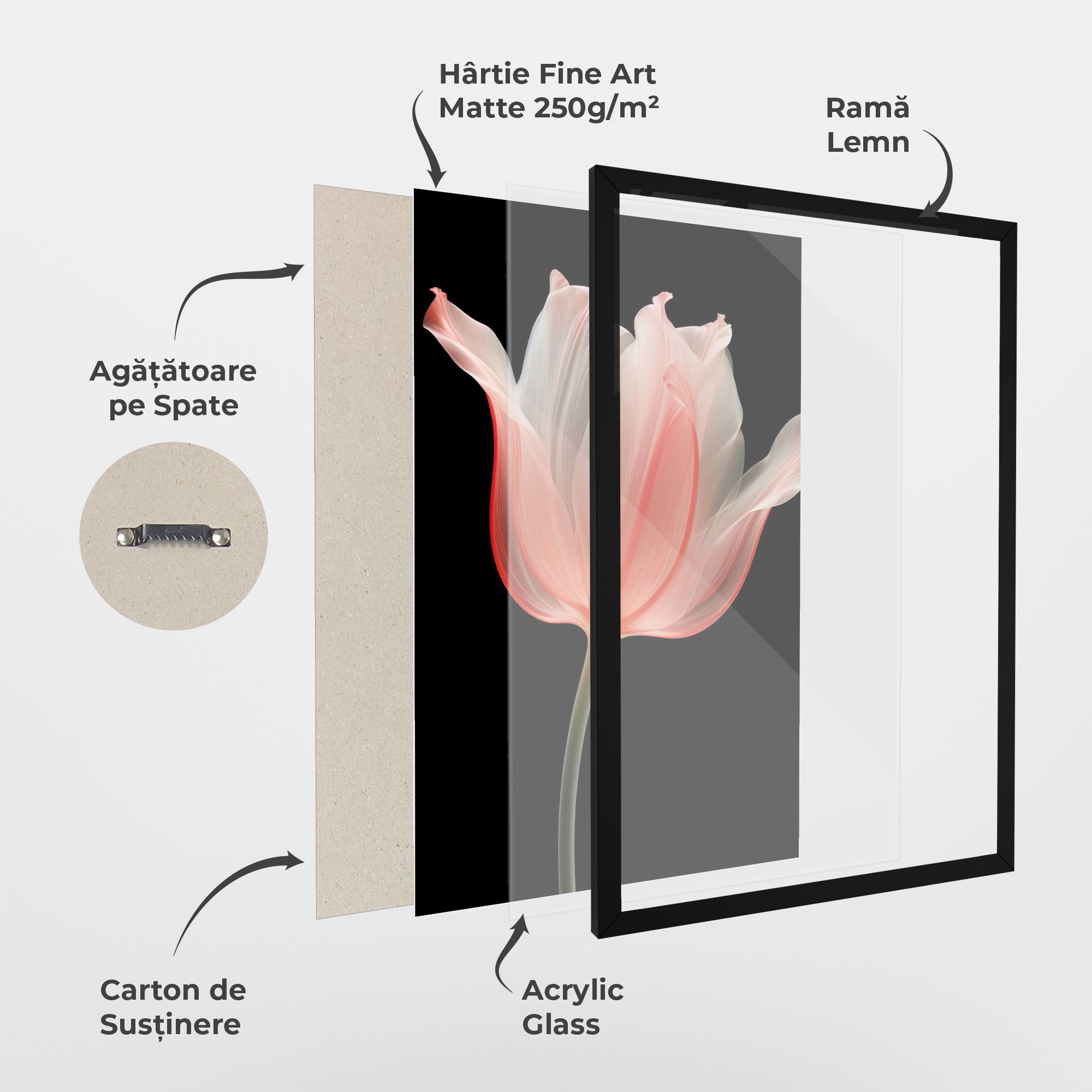 Pastel Pink Tulip mockup 1
