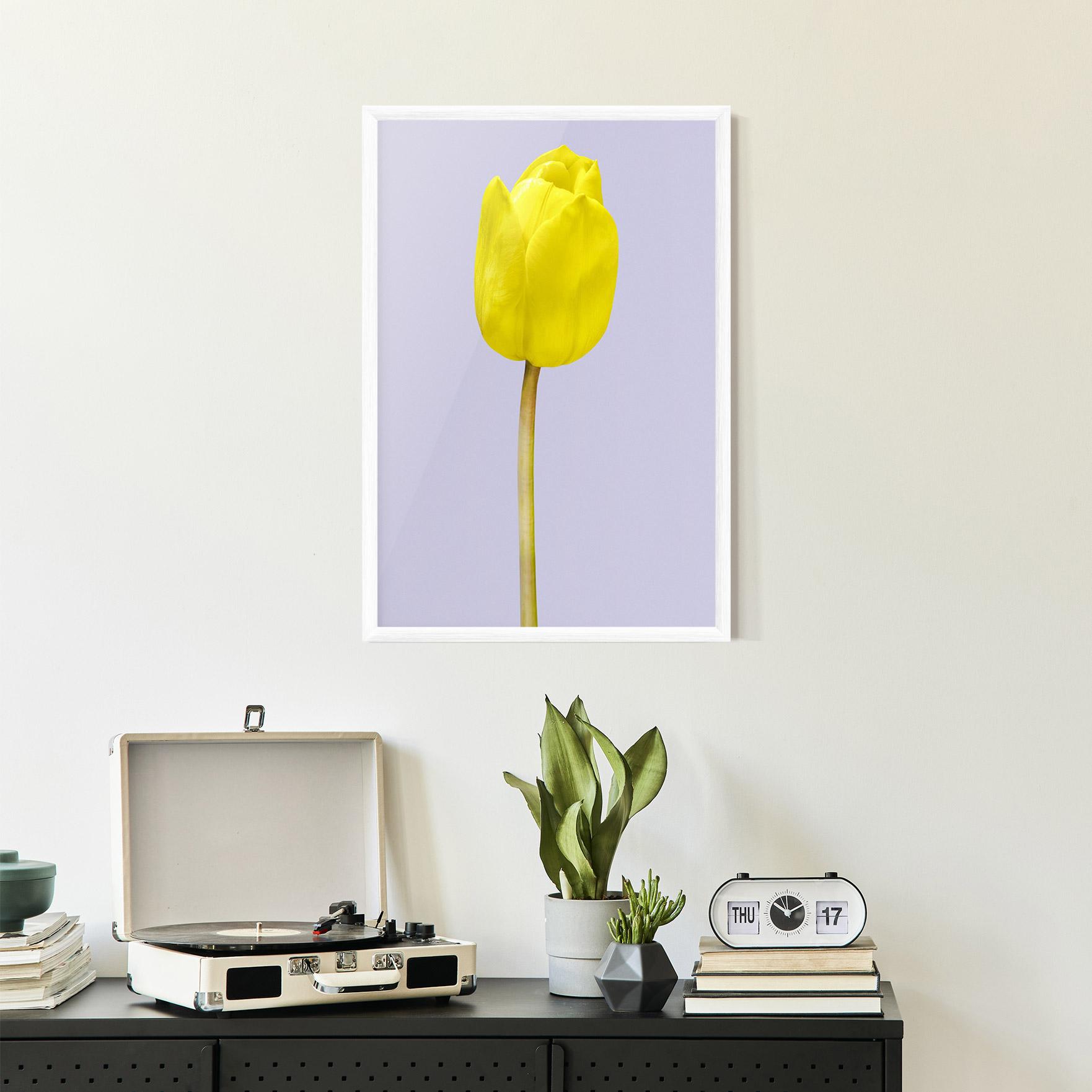 Poster Înrămat One Yellow Tulip mockup 2