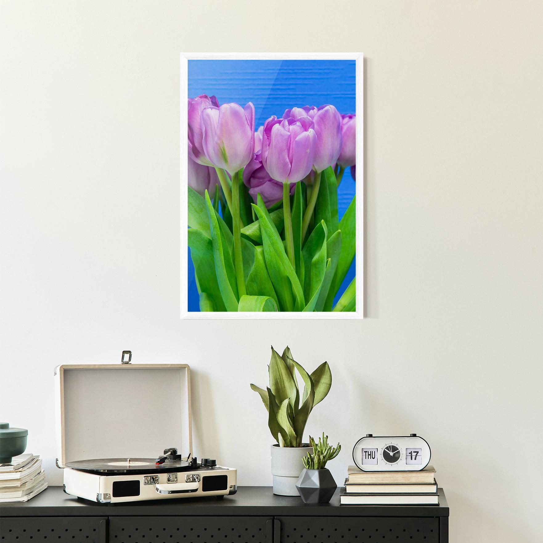 Poster Înrămat Purple Tulips On Blue mockup 2