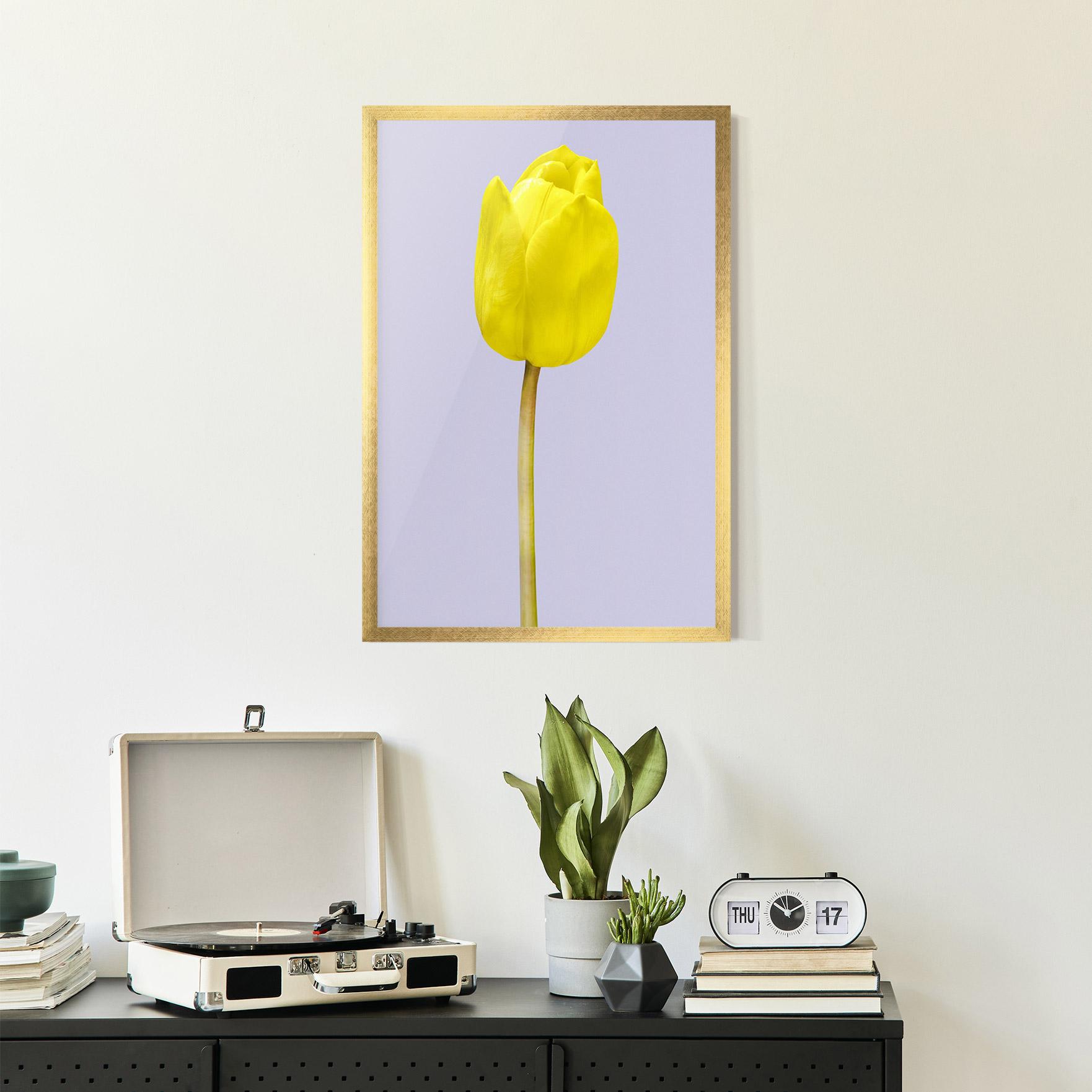 Poster Înrămat One Yellow Tulip mockup 2