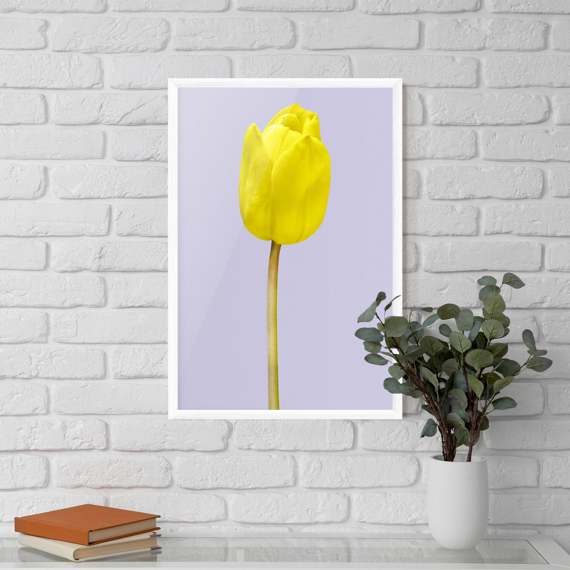 Poster Înrămat One Yellow Tulip mockup 5