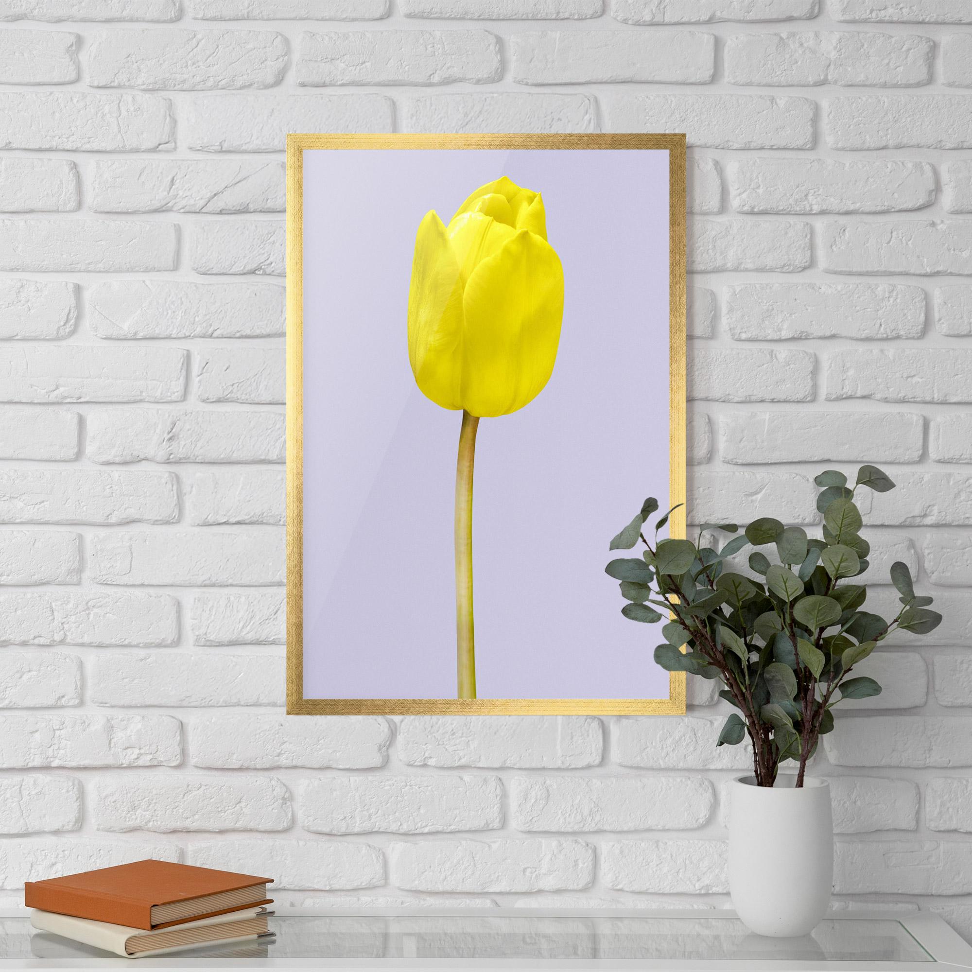 Poster Înrămat One Yellow Tulip mockup 5