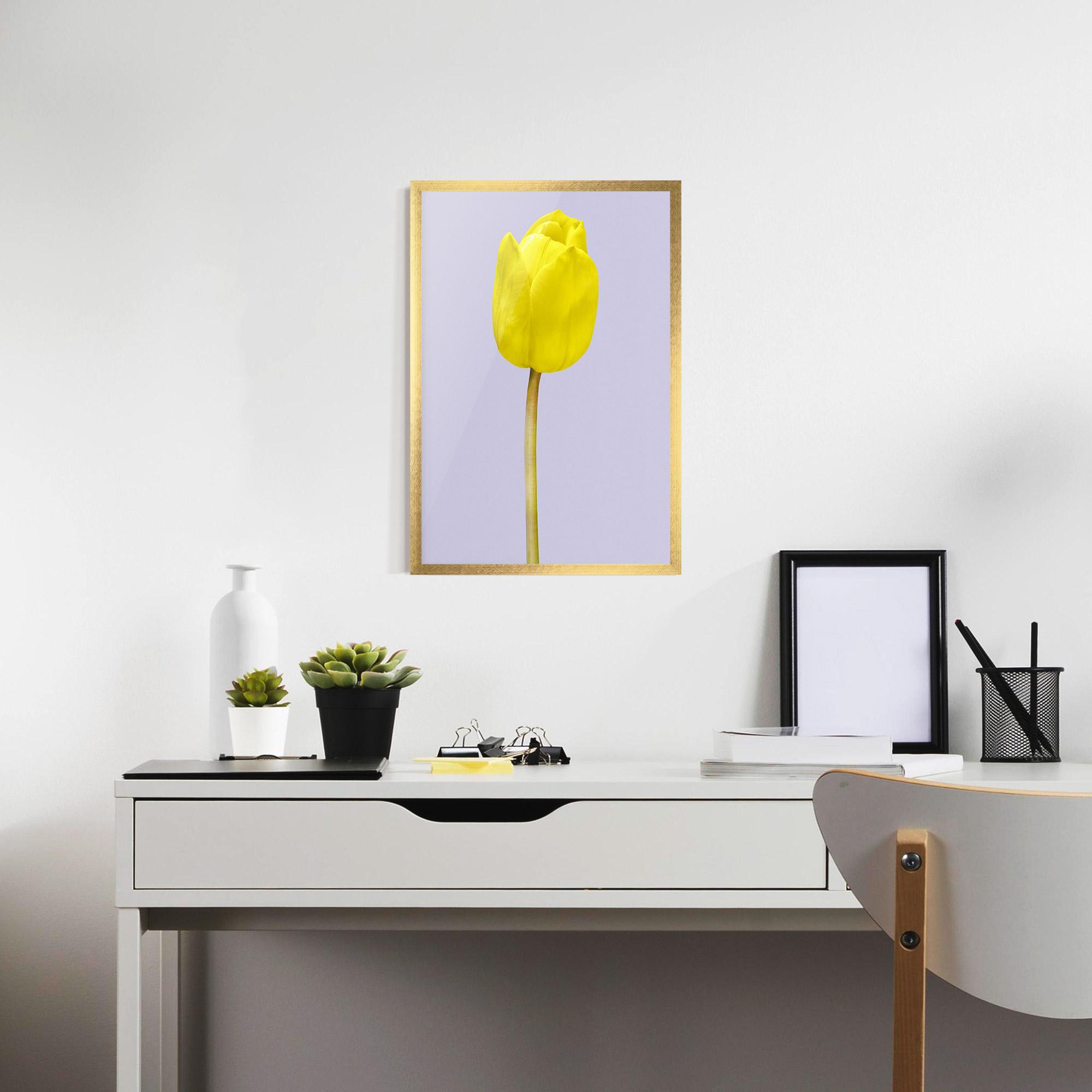 Poster Înrămat One Yellow Tulip mockup 7