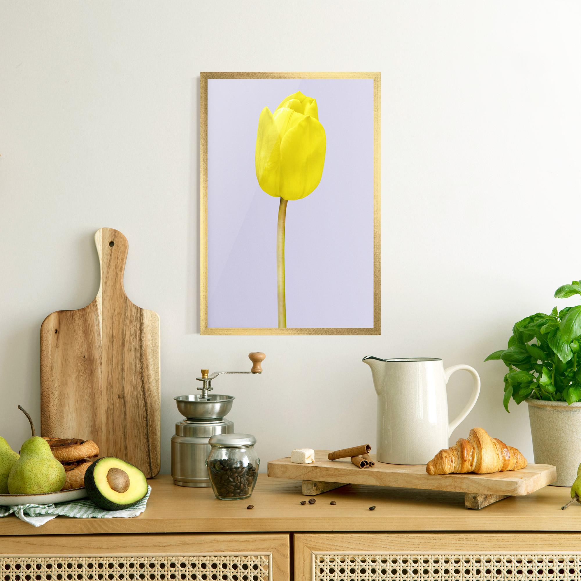 Poster Înrămat One Yellow Tulip mockup 8