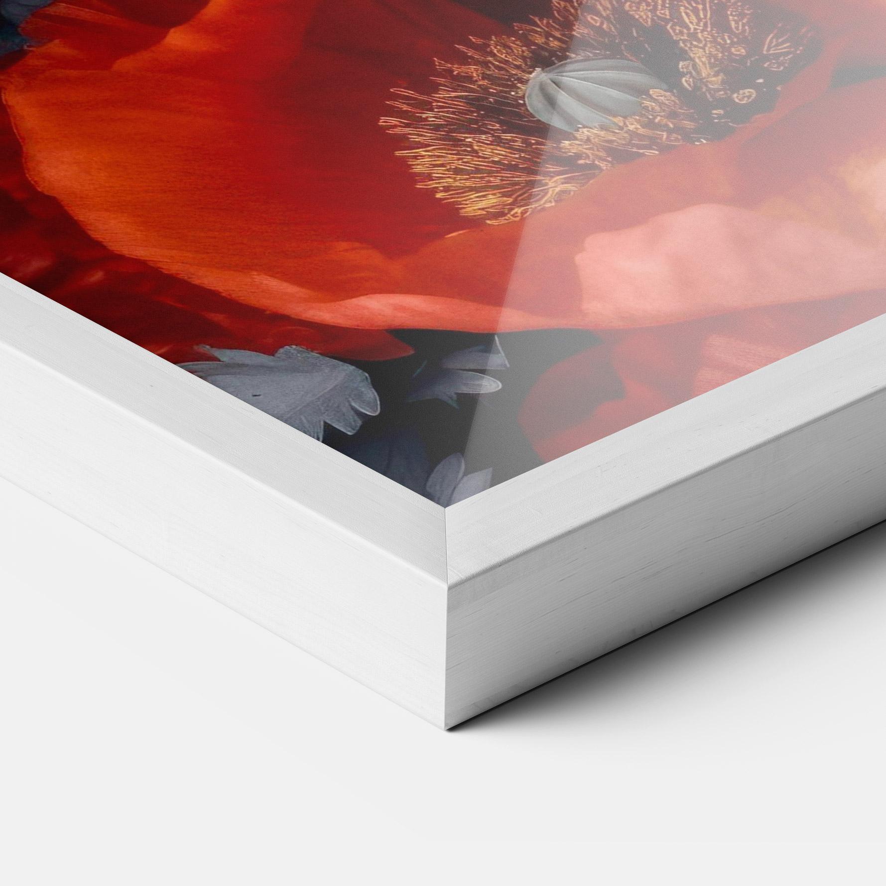 Poster Înrămat Black Red Poppies mockup 3