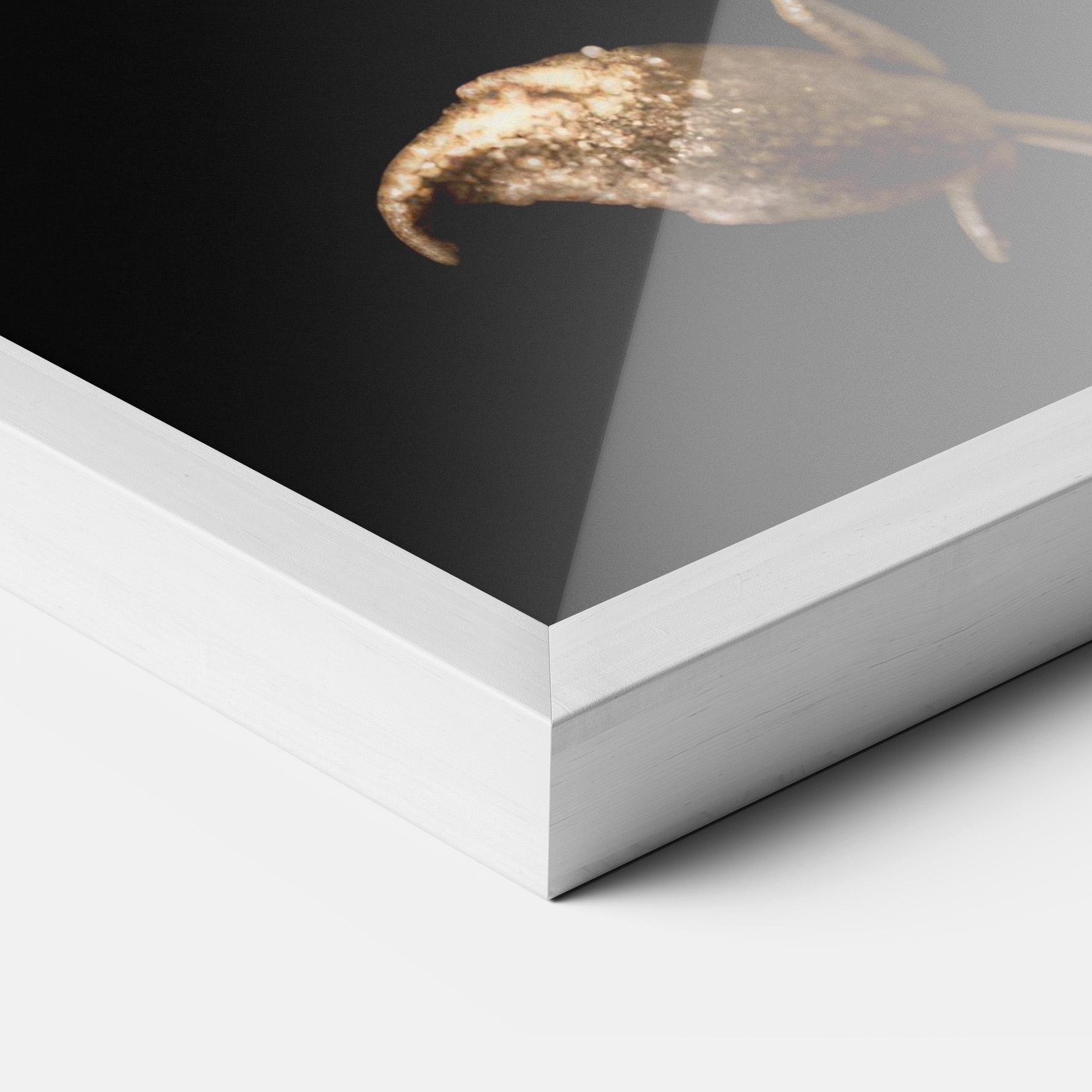 Poster Înrămat Dark Red Poppy mockup 3