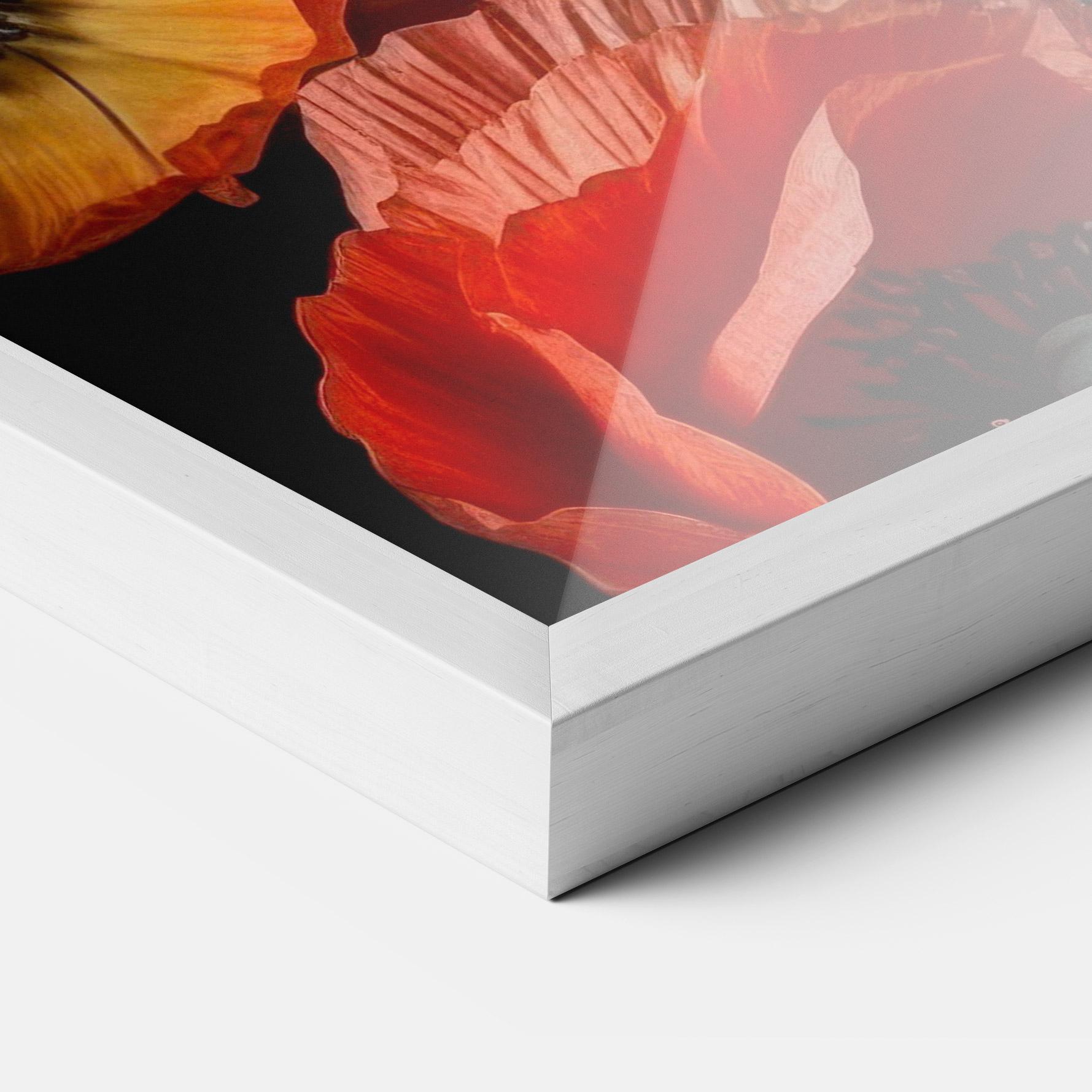 Poster Înrămat Red Orange Poppy mockup 3