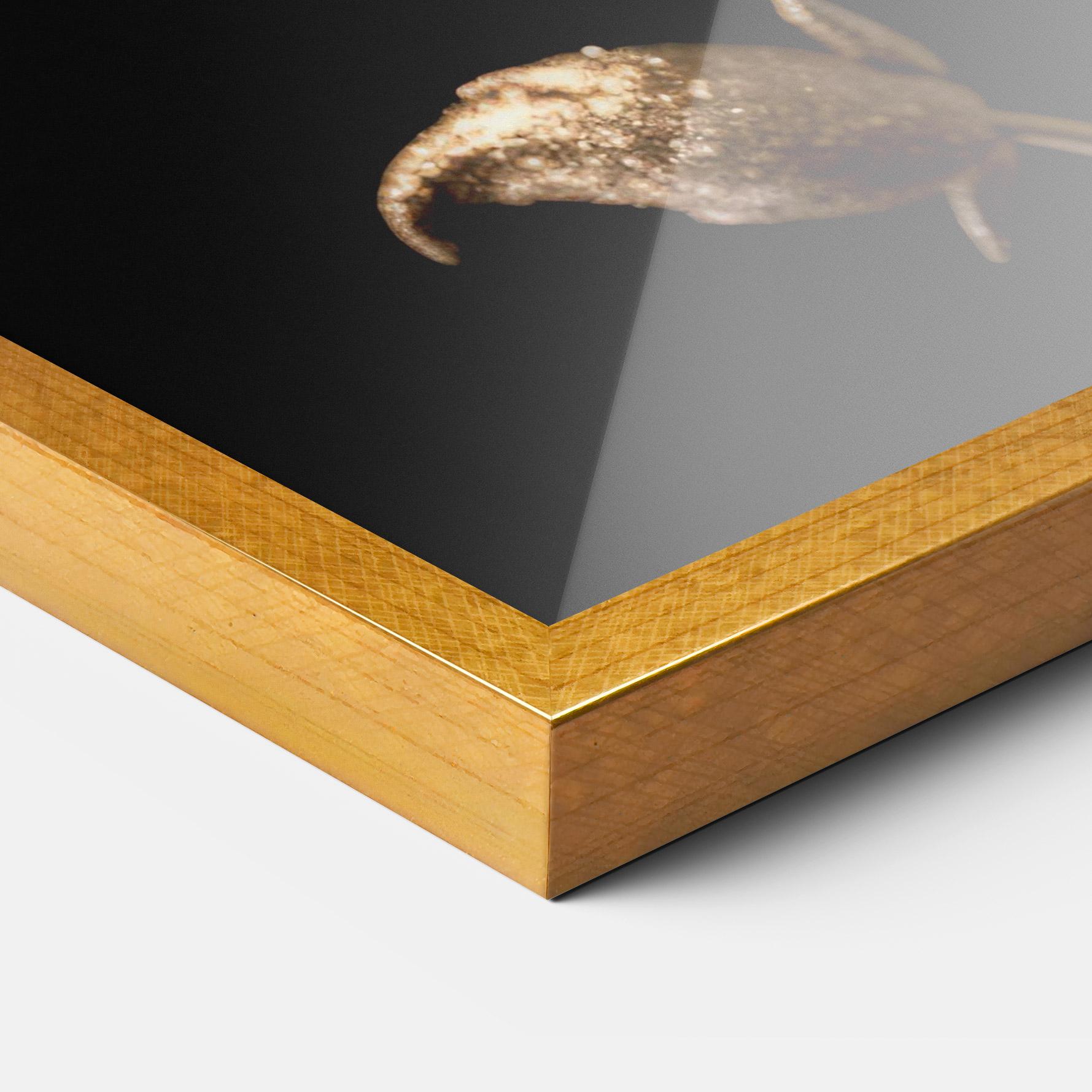 Poster Înrămat Dark Red Poppy mockup 3