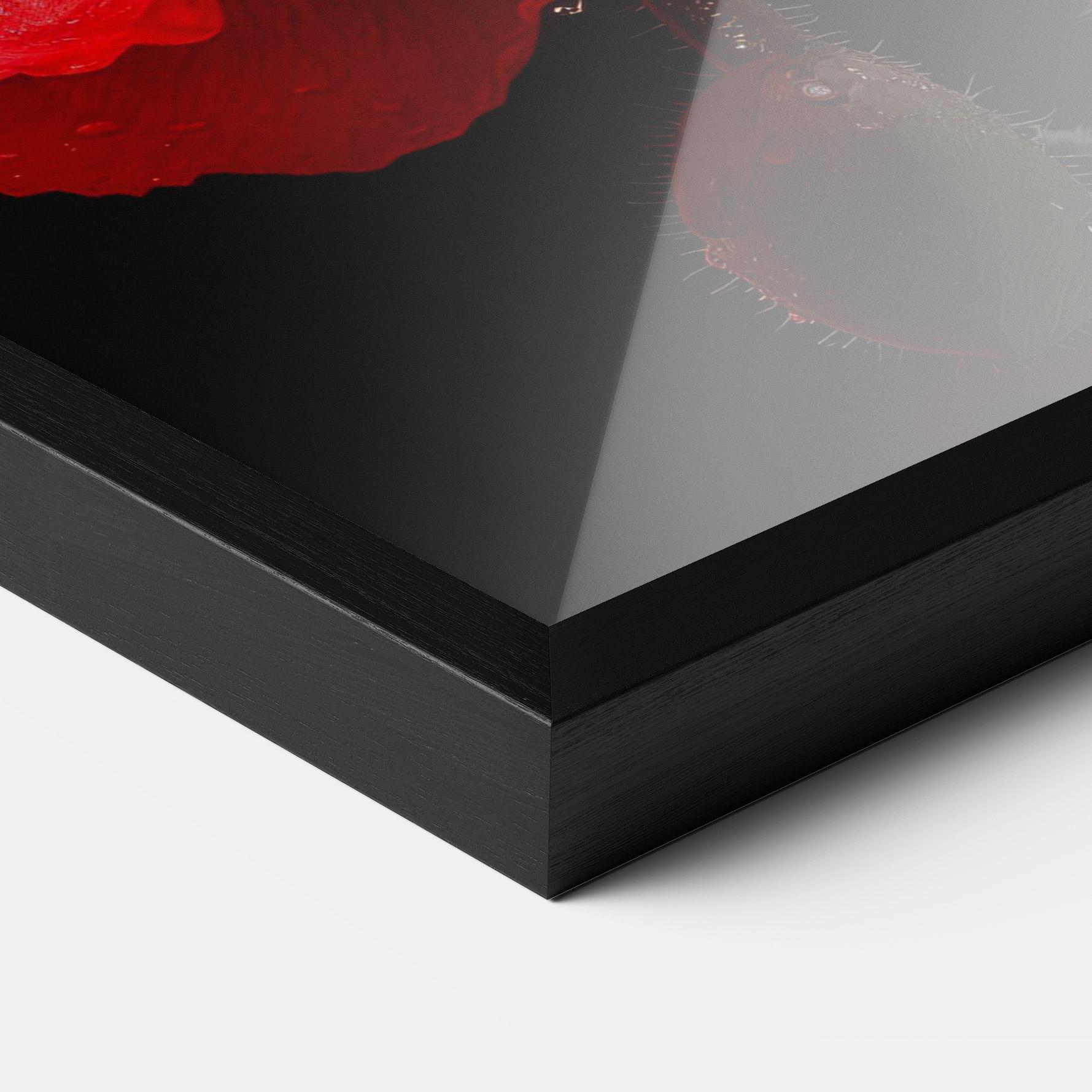 Poster Înrămat Red Poppy mockup 3