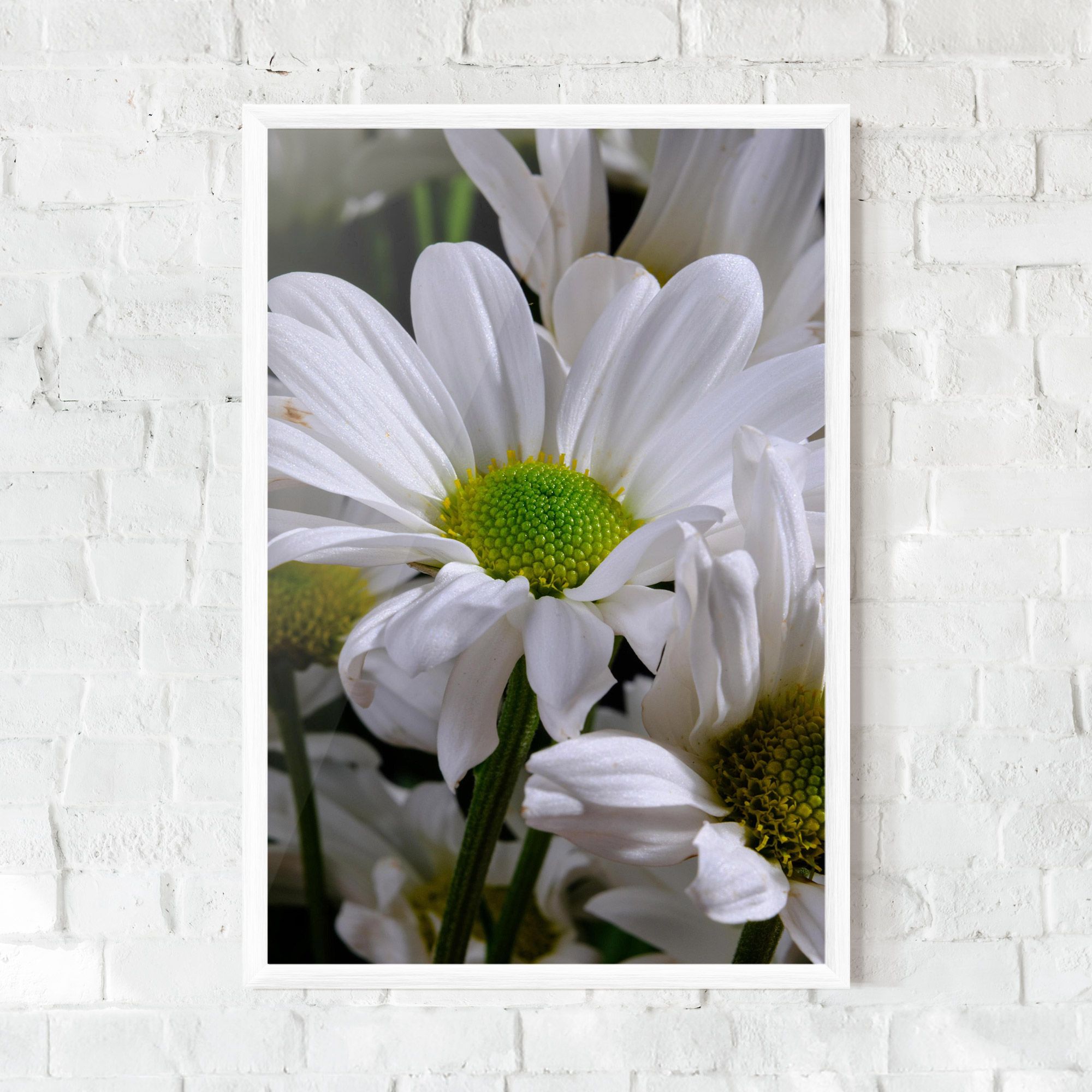 Green Middle Daisy View mockup 0