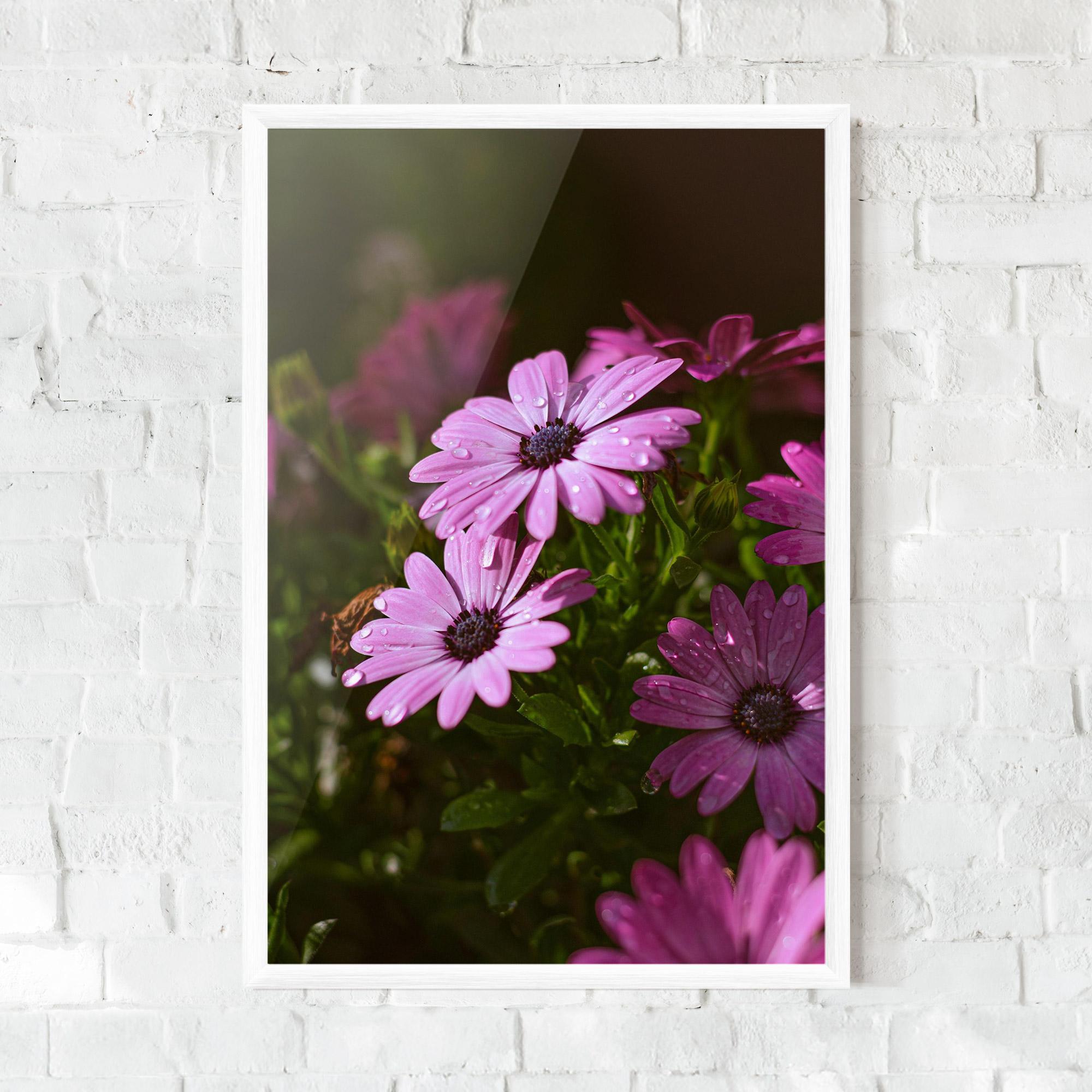 Poster Înrămat Purple Daisy mockup 0