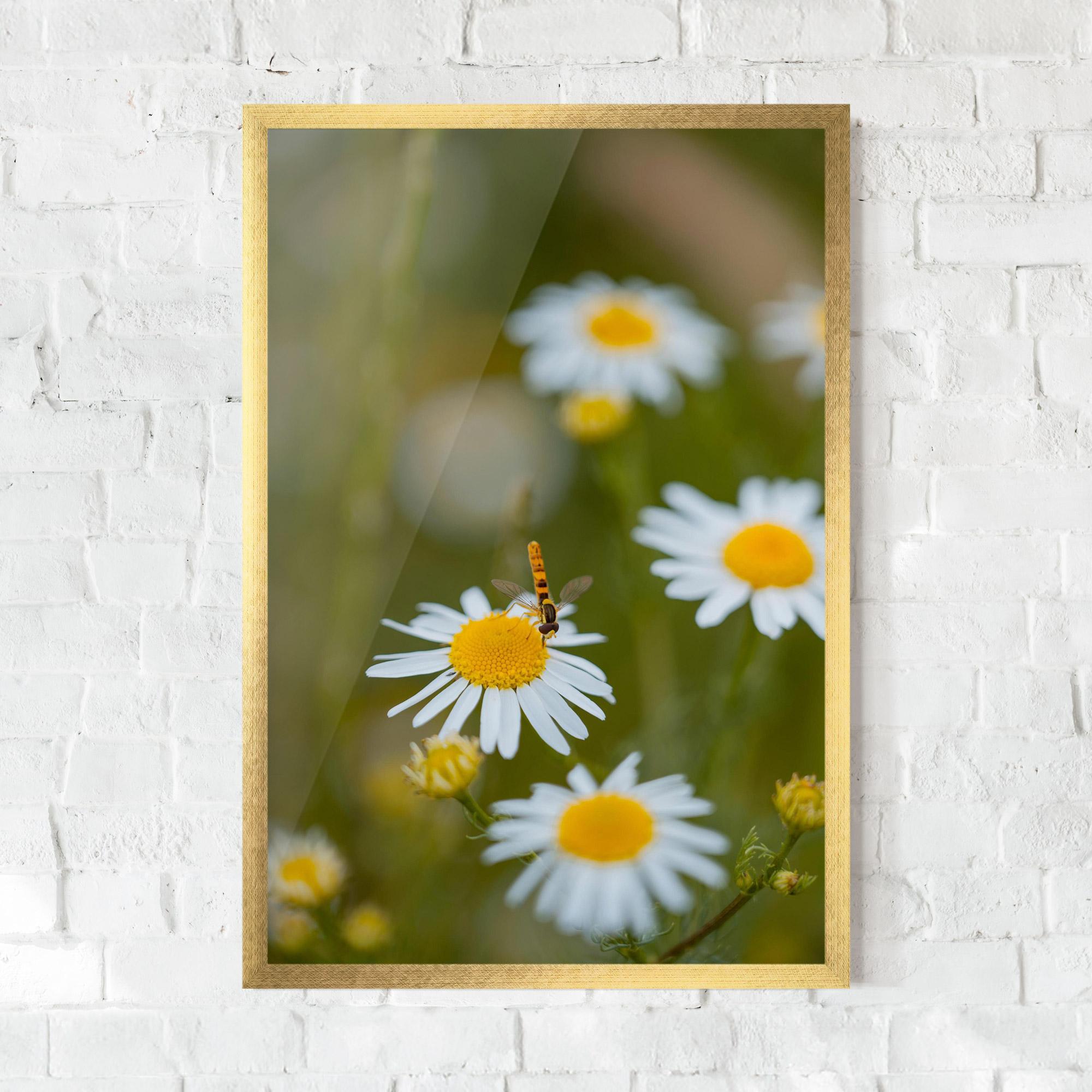 Poster Înrămat Bug On Small Daisy mockup 0