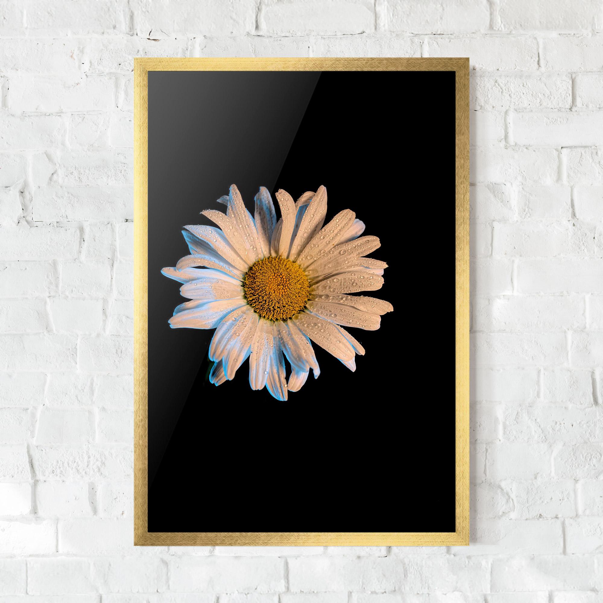 Poster Înrămat Daisy mockup 0