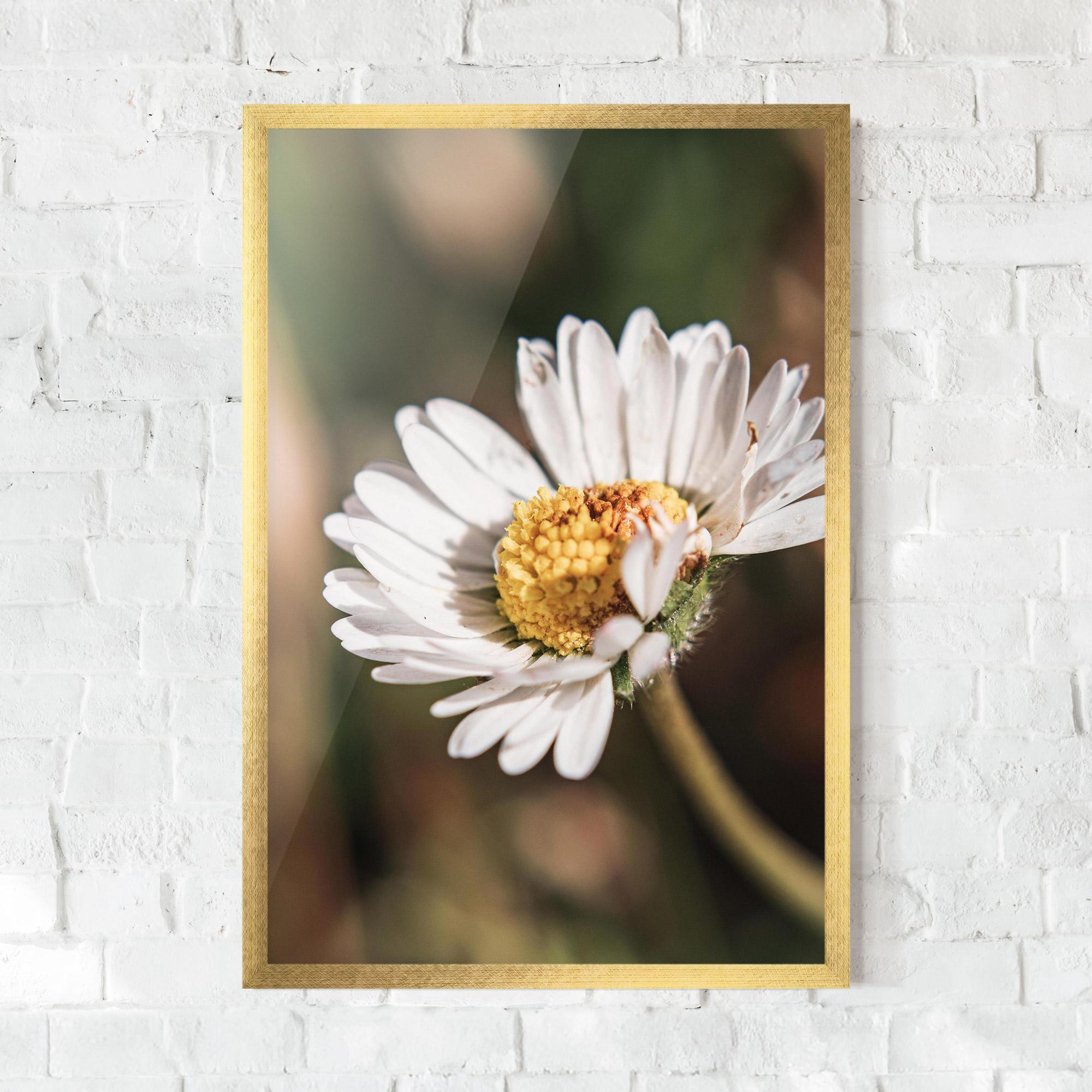 Poster Înrămat Yellow Pastel Daisy mockup 0