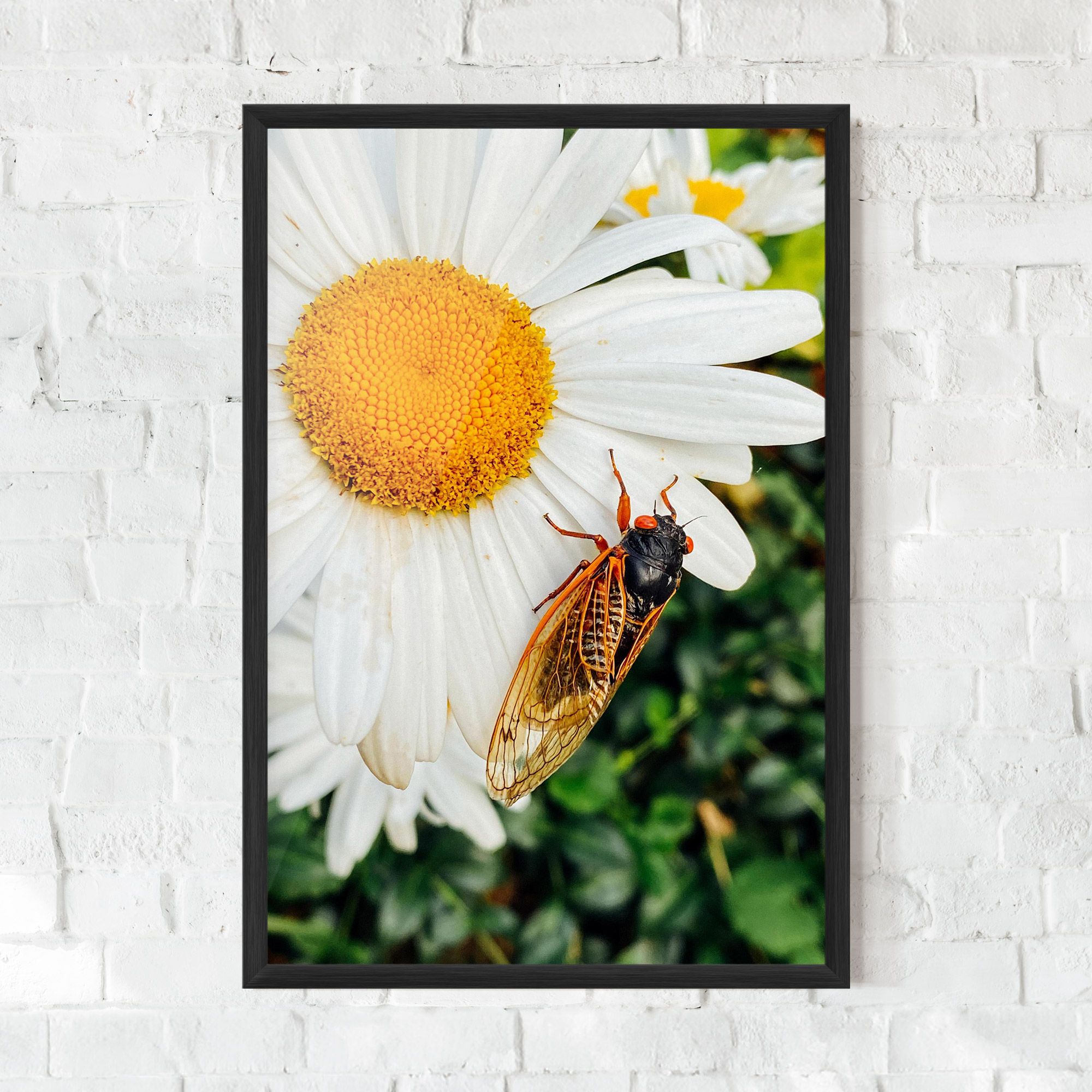 Bug On The Daisy mockup 0