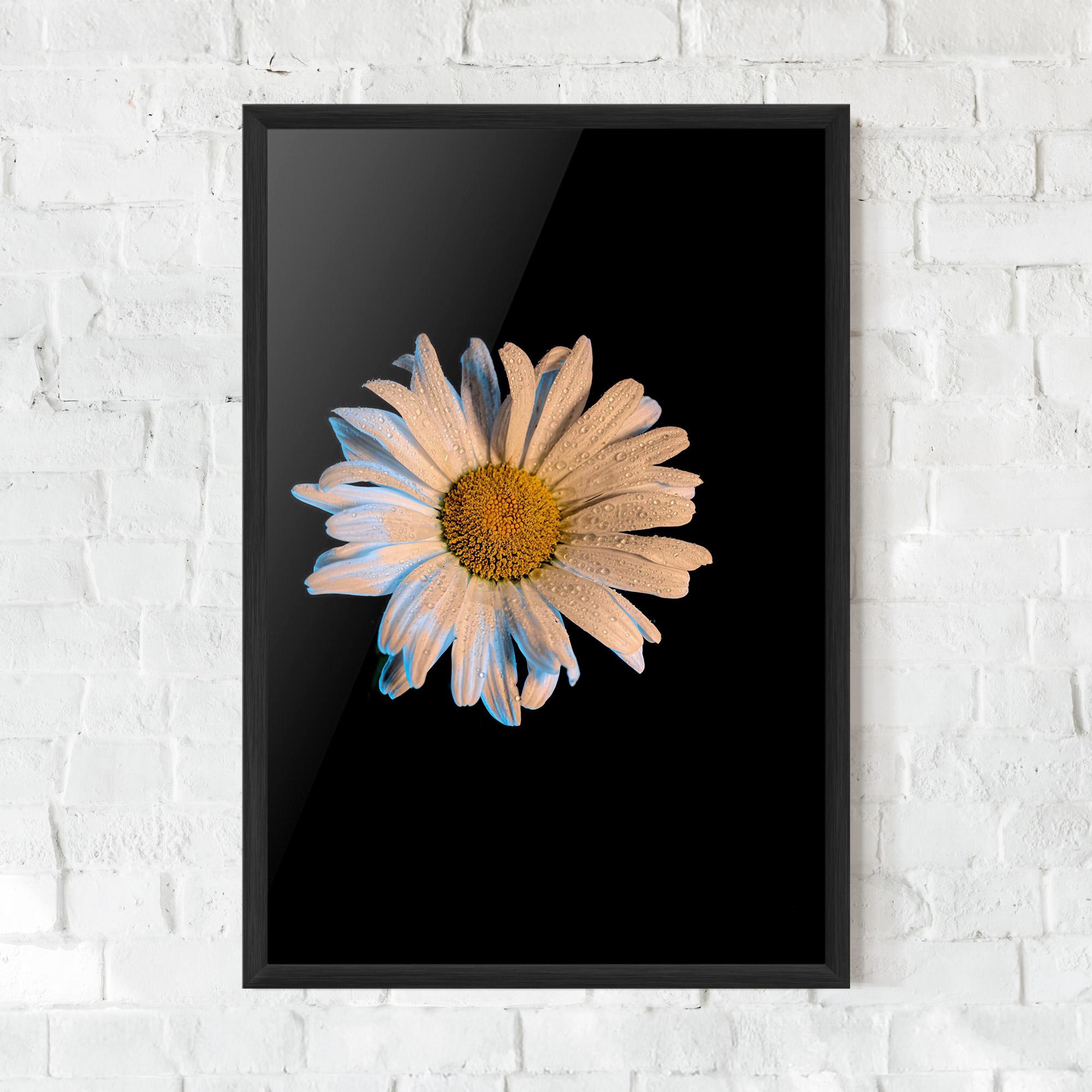 Poster Înrămat Daisy mockup 0