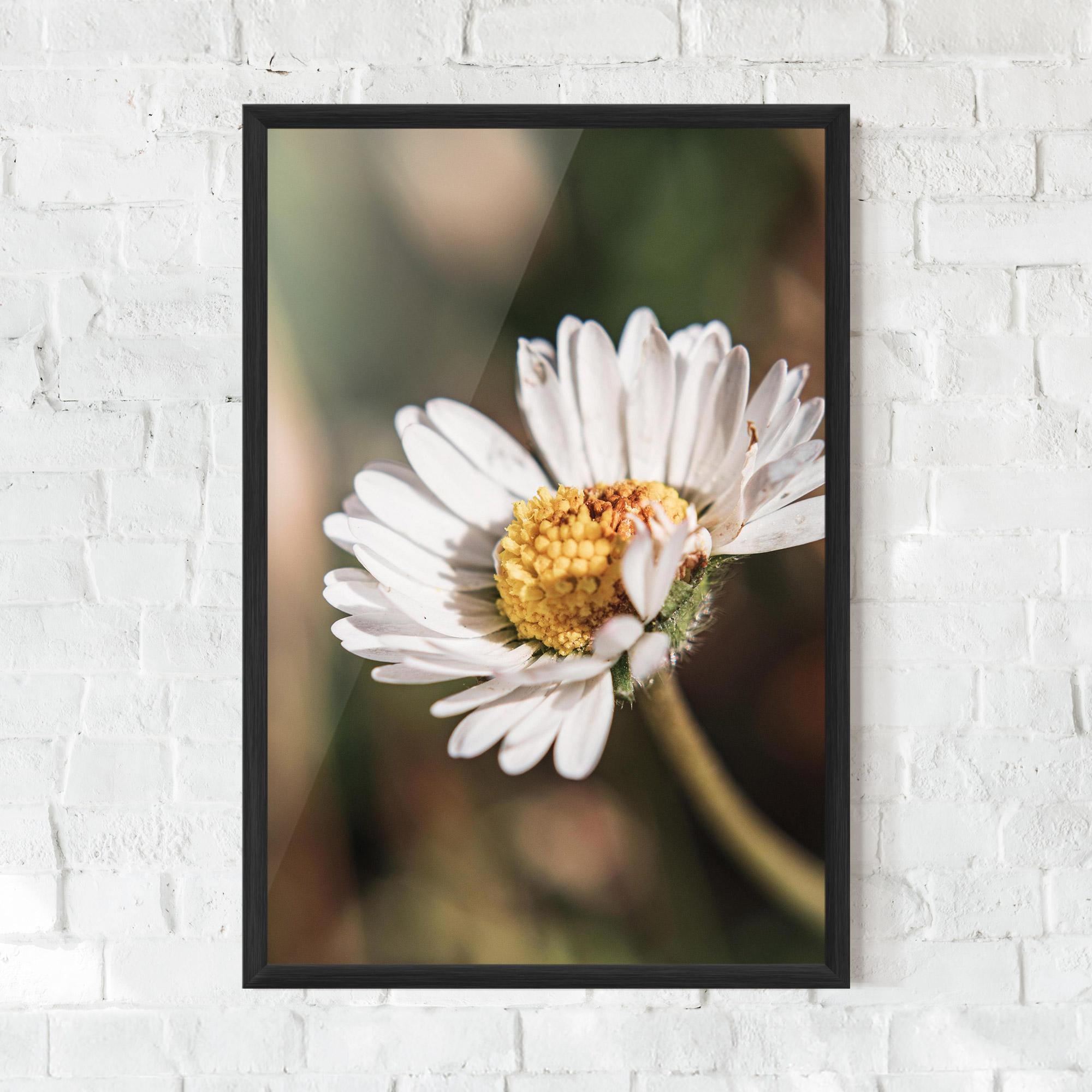 Poster Înrămat Yellow Pastel Daisy mockup 0