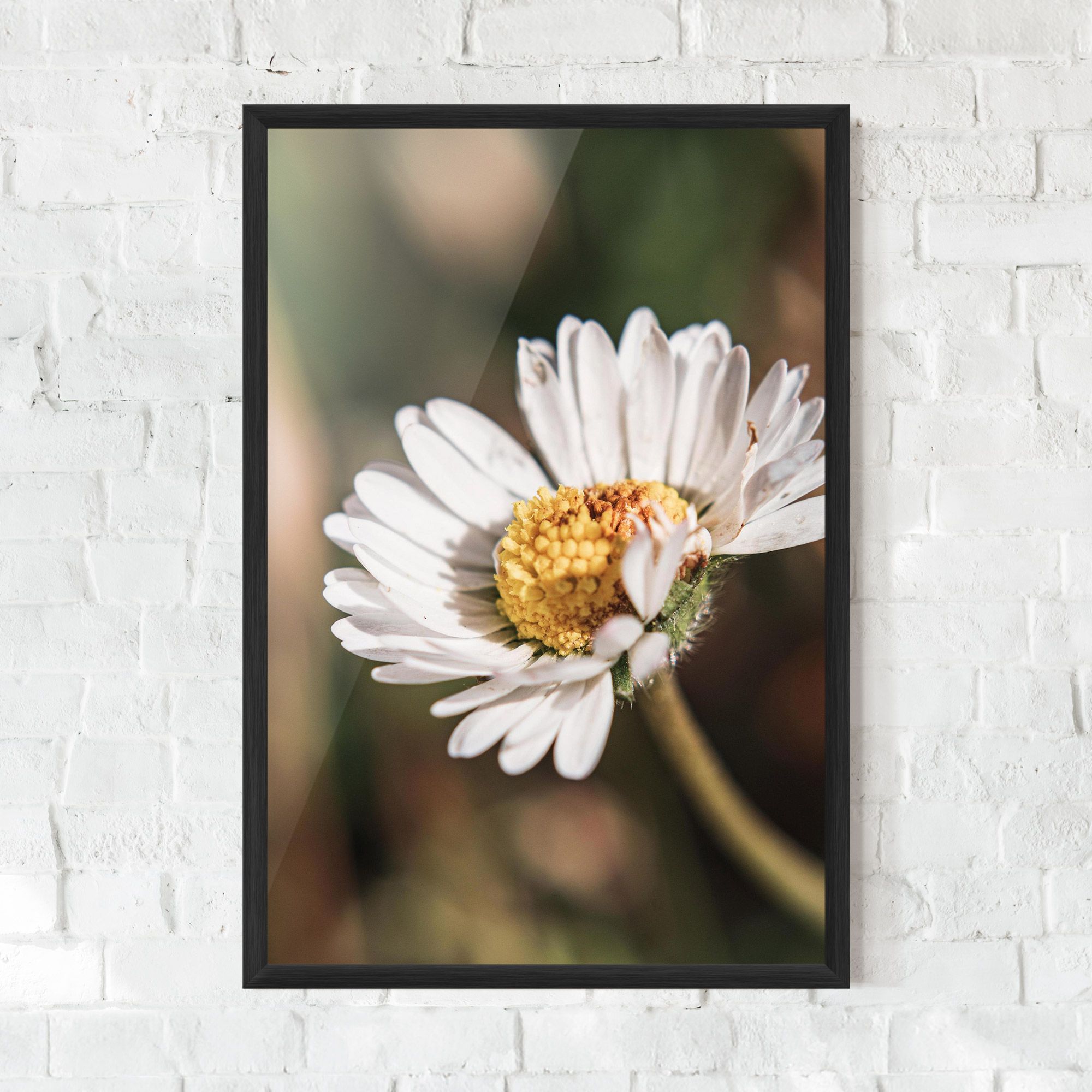 Yellow Pastel Daisy mockup 0