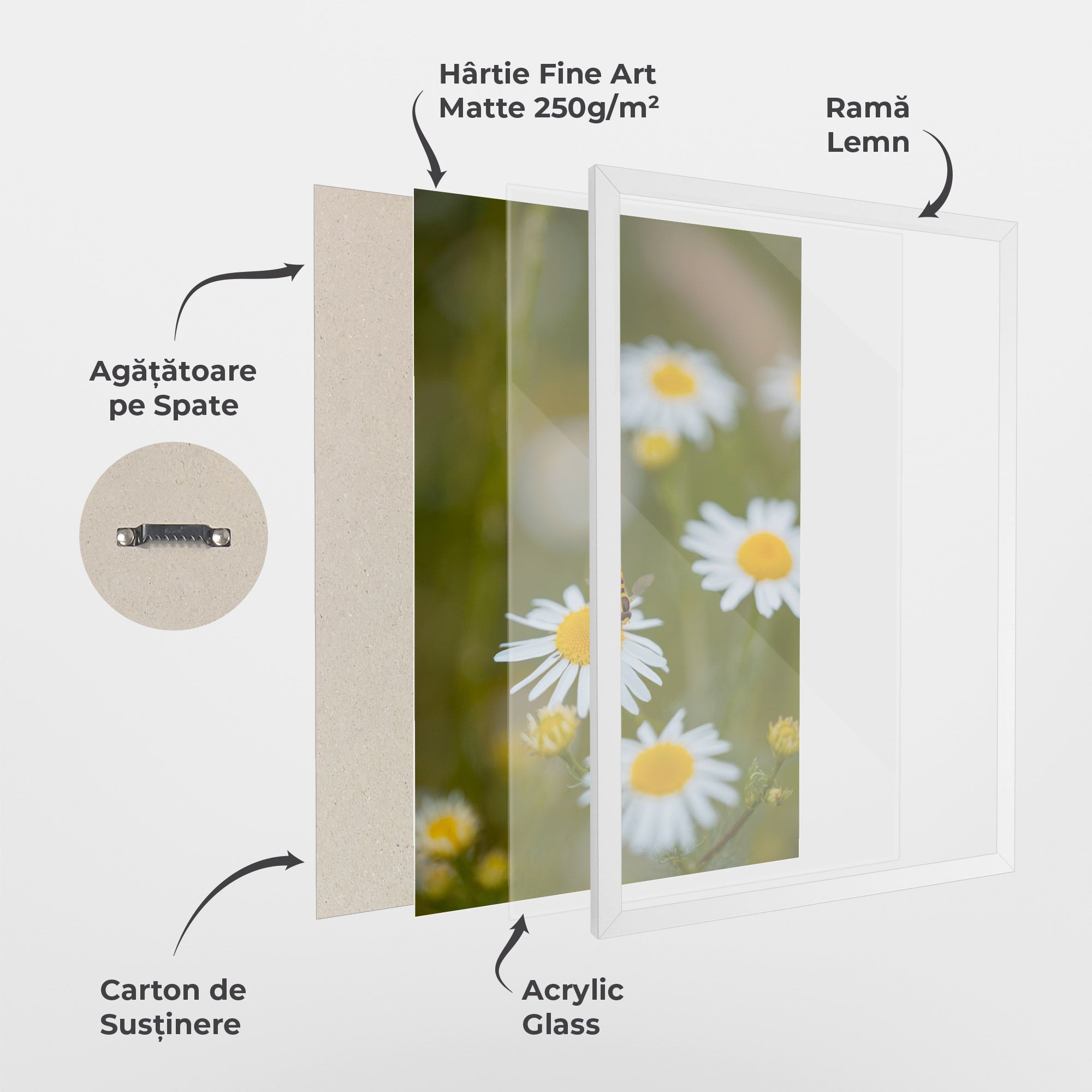 Bug On Small Daisy mockup 1