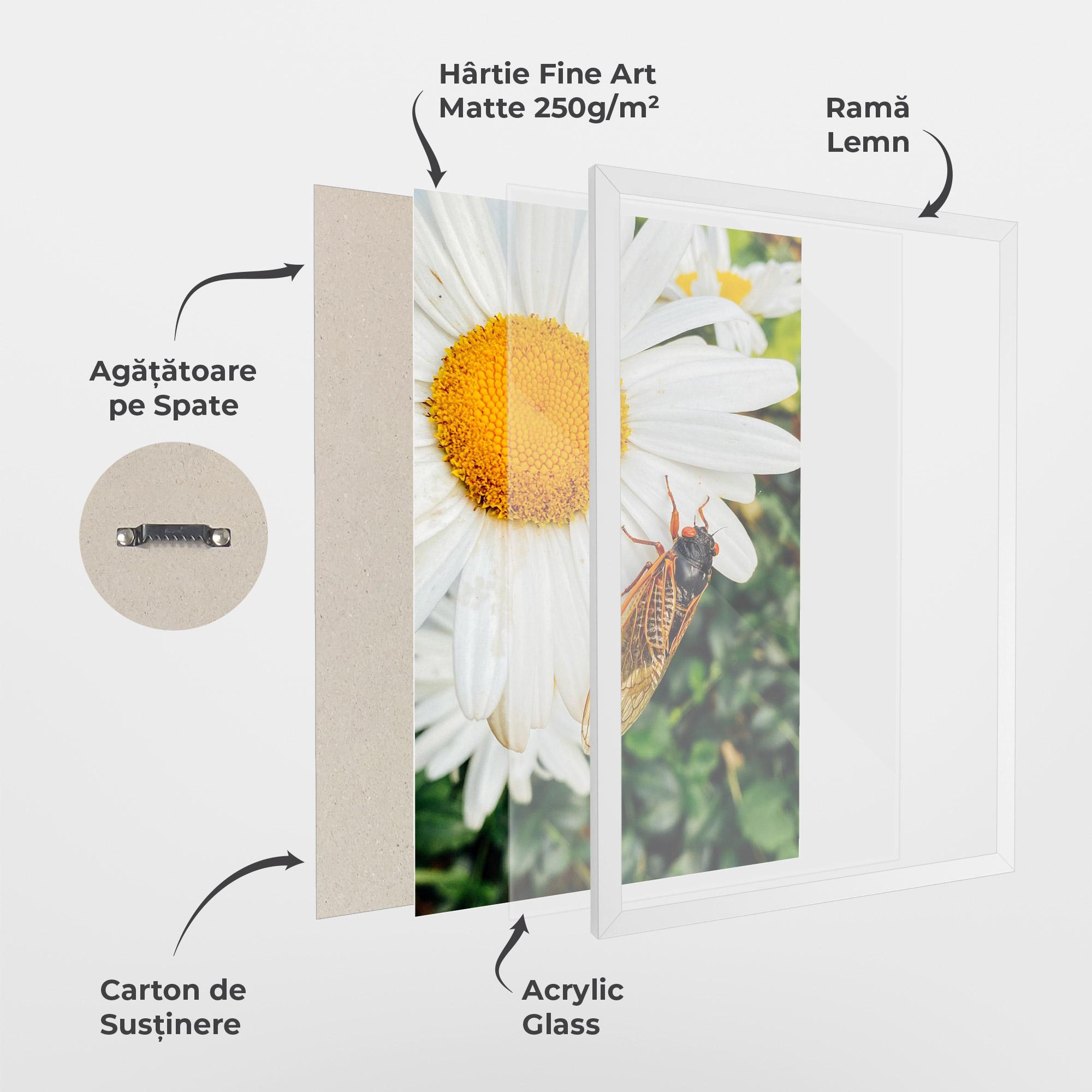 Poster Înrămat Bug On The Daisy mockup 1