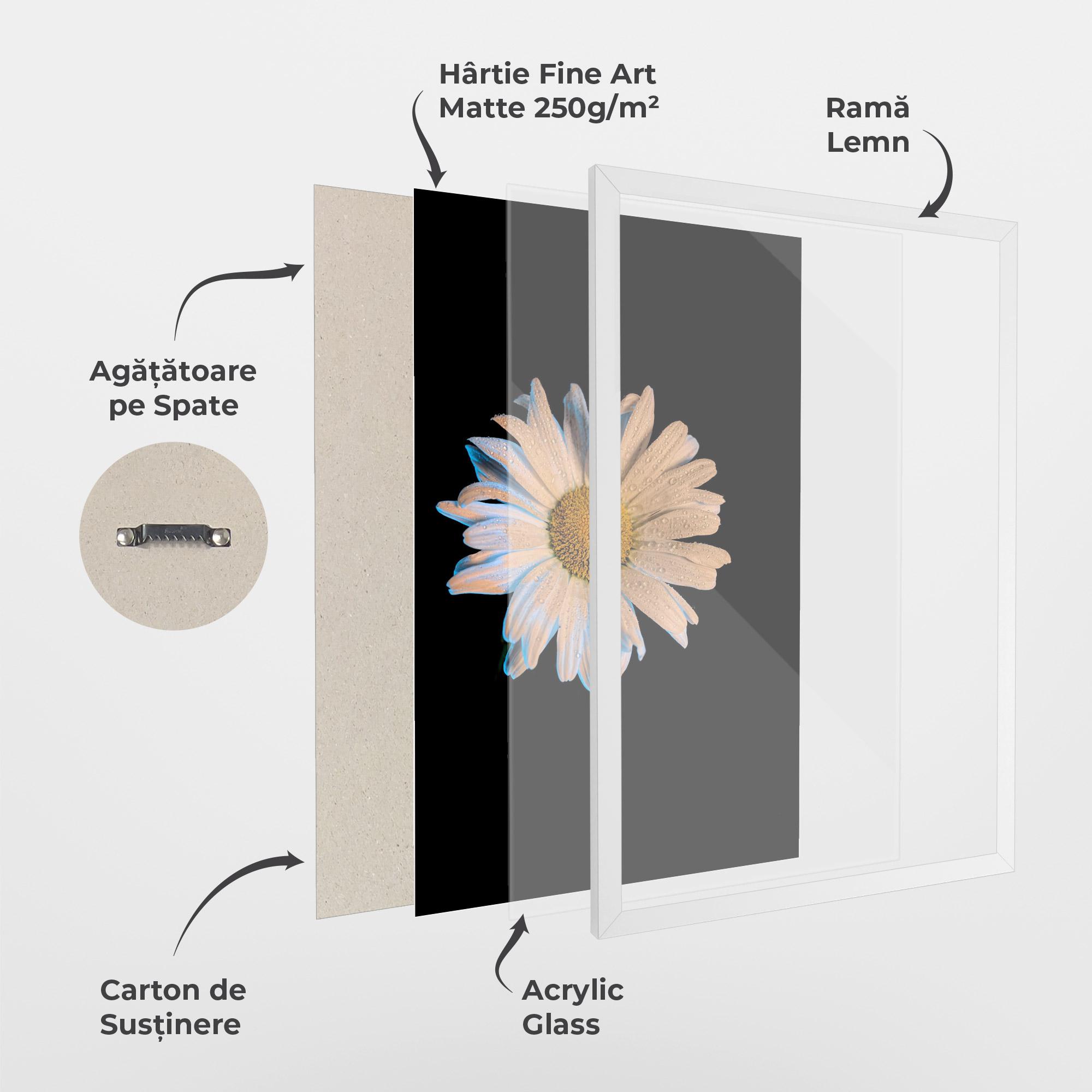 Poster Înrămat Daisy mockup 1
