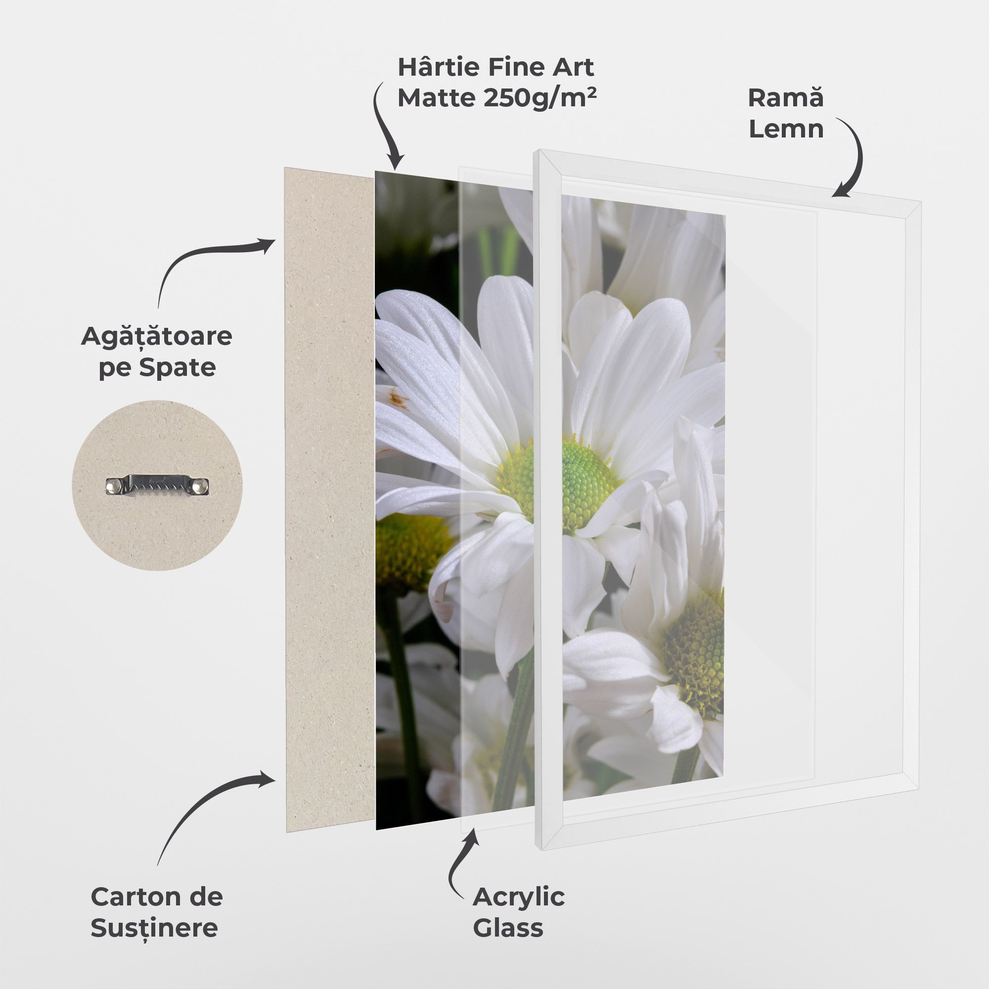 Green Middle Daisy View mockup 1