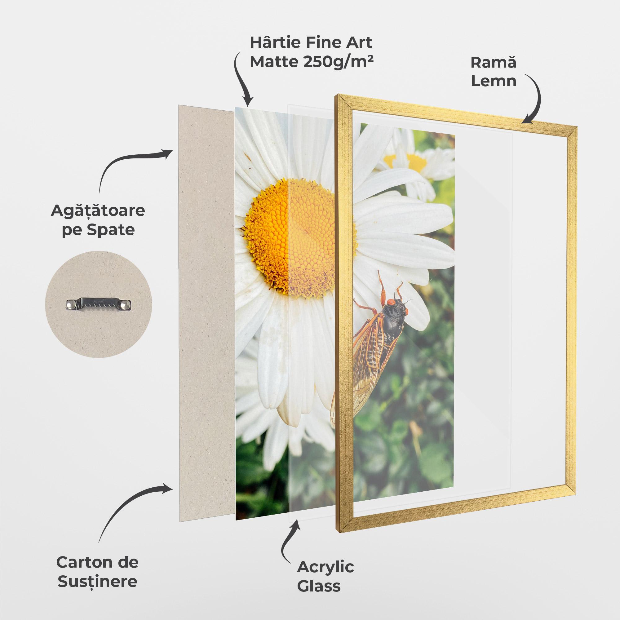Poster Înrămat Bug On The Daisy mockup 1