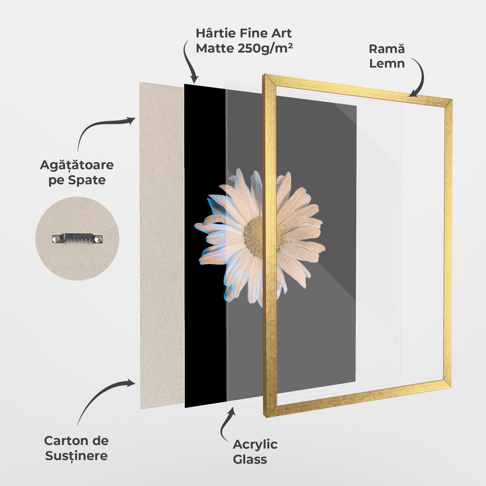 Poster Înrămat Daisy mockup 1