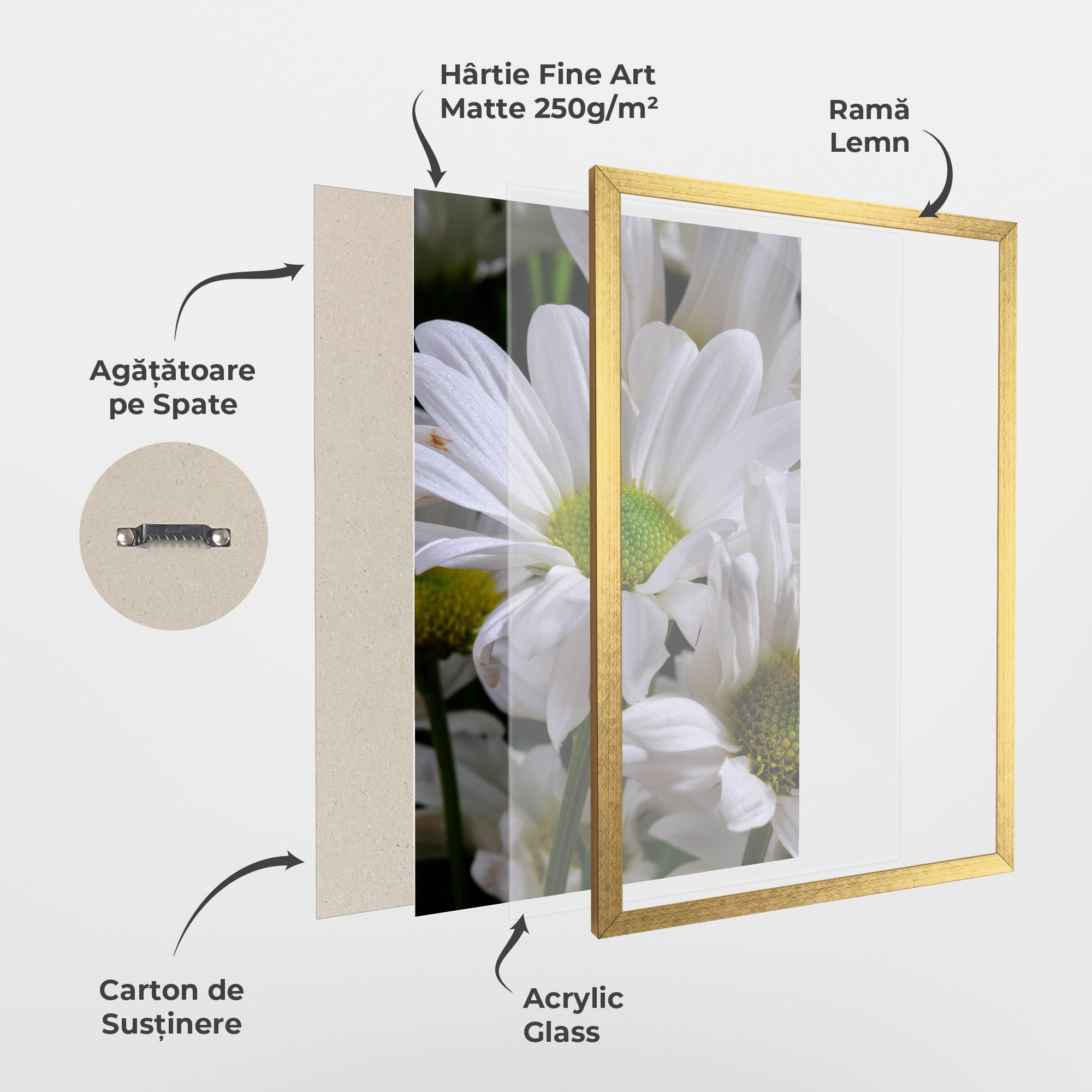 Green Middle Daisy View mockup 1