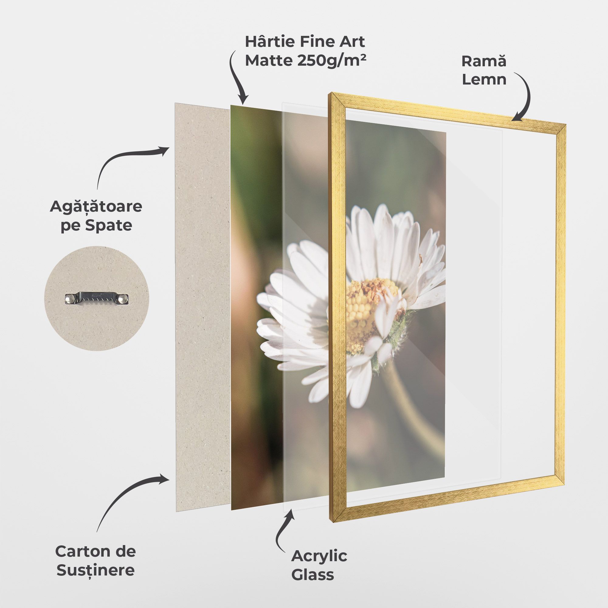 Yellow Pastel Daisy mockup 1