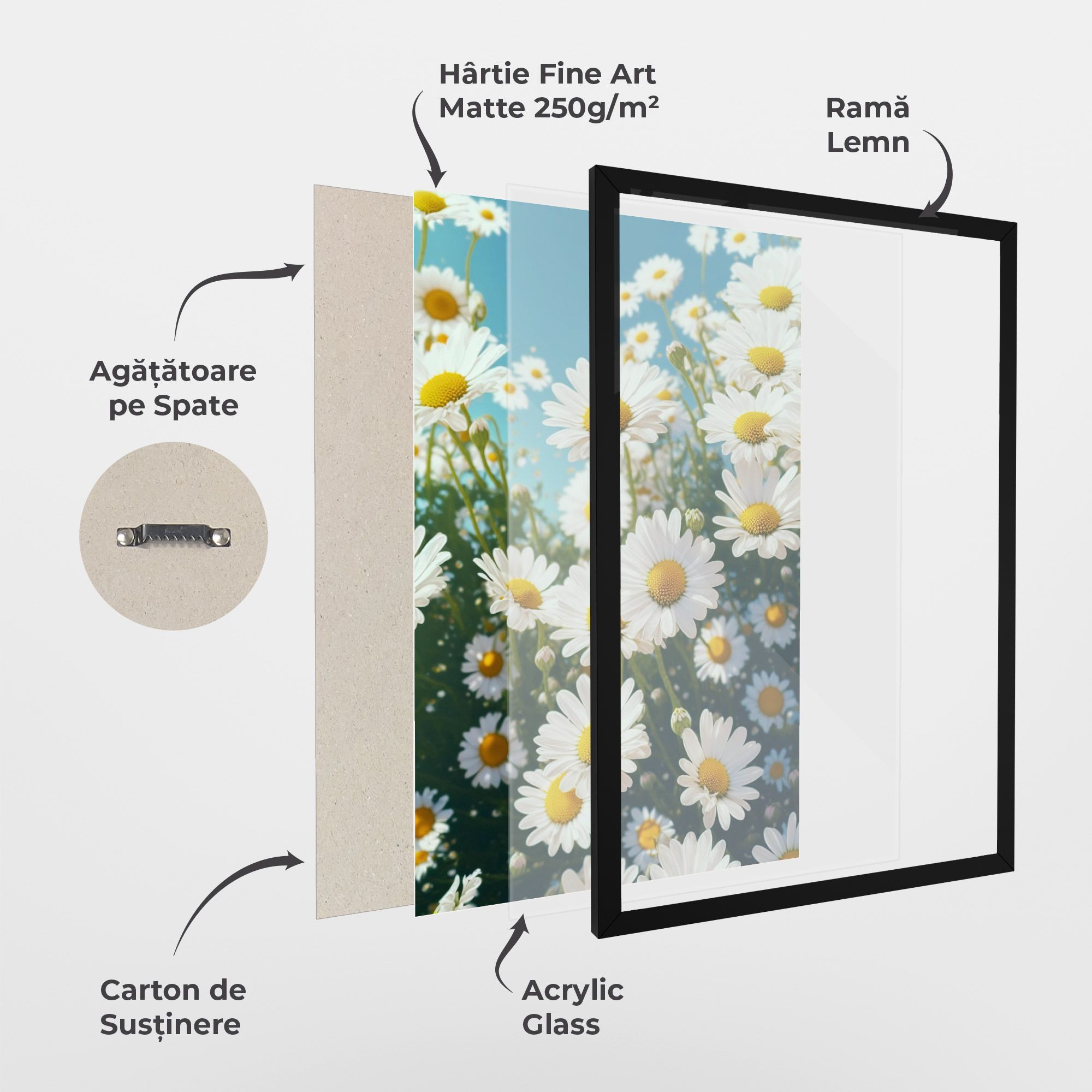Daisy Field View mockup 1