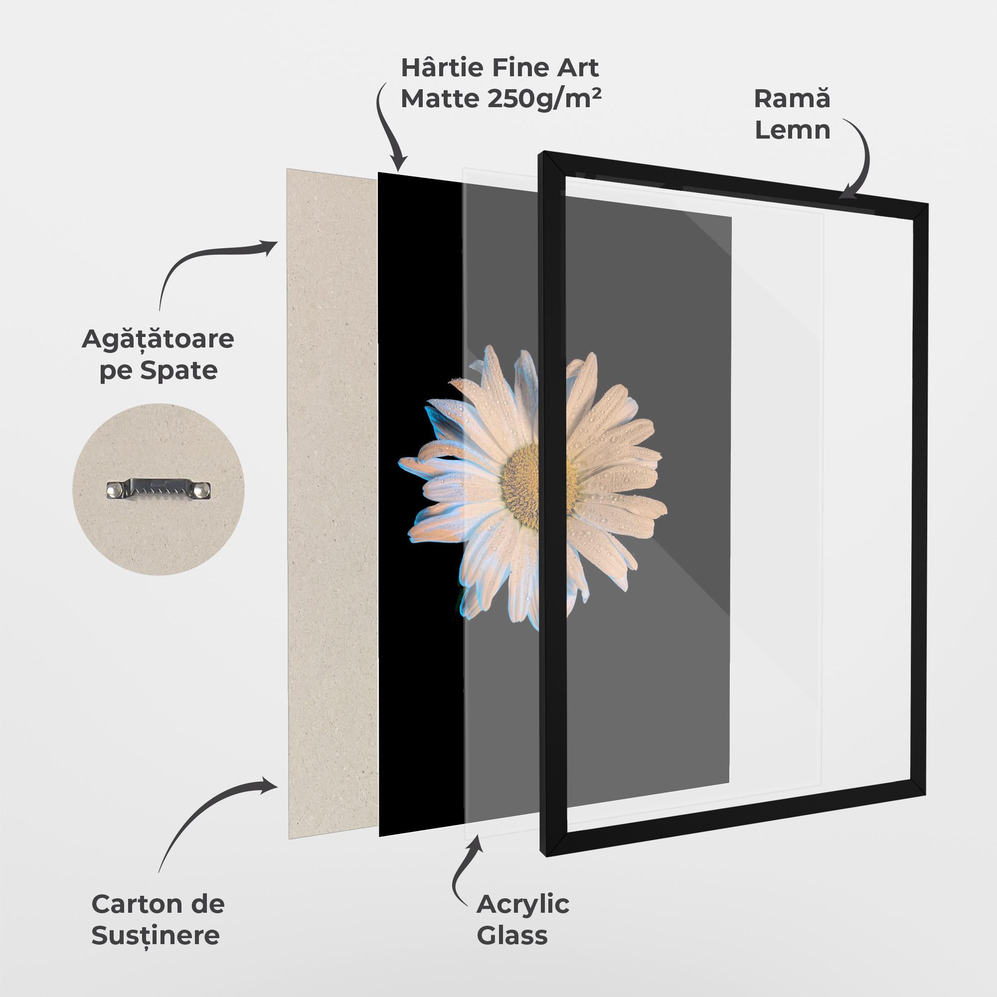 Poster Înrămat Daisy mockup 1