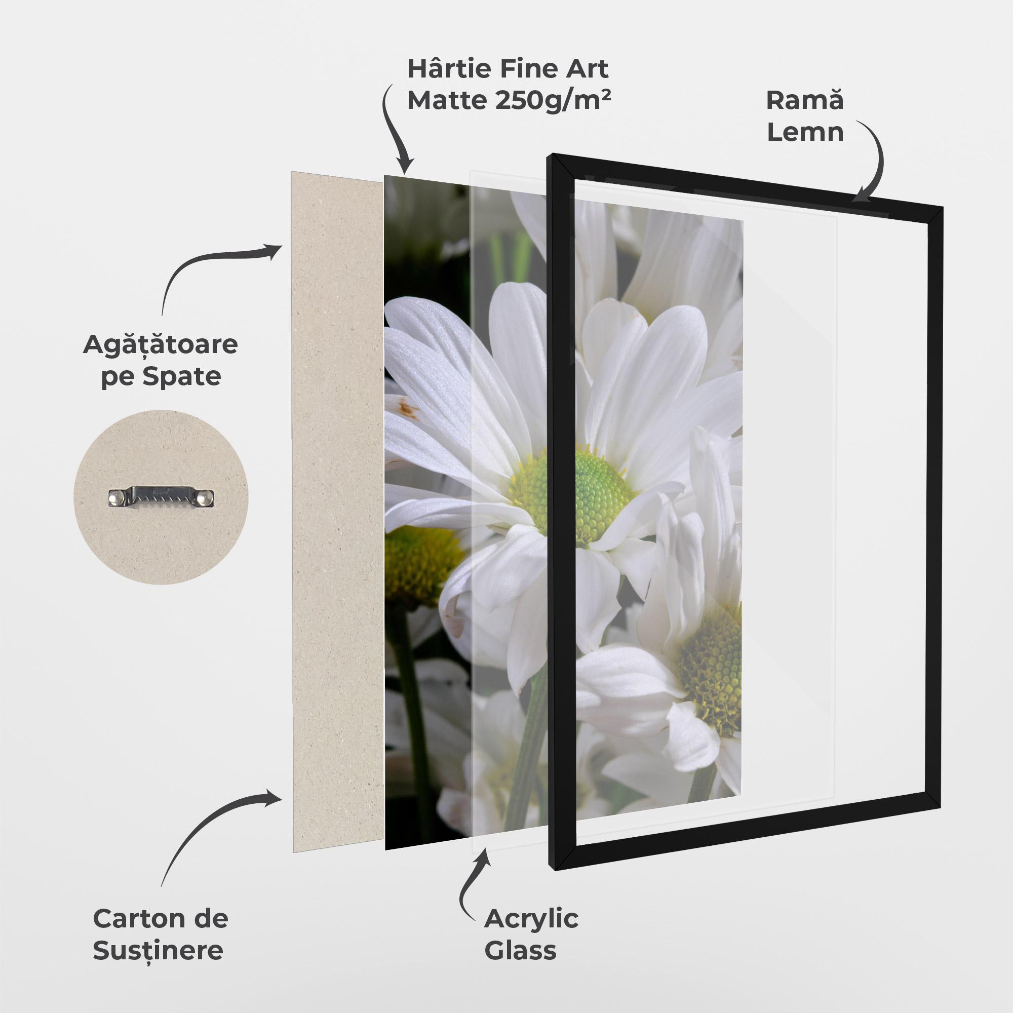 Poster Înrămat Green Middle Daisy View mockup 1