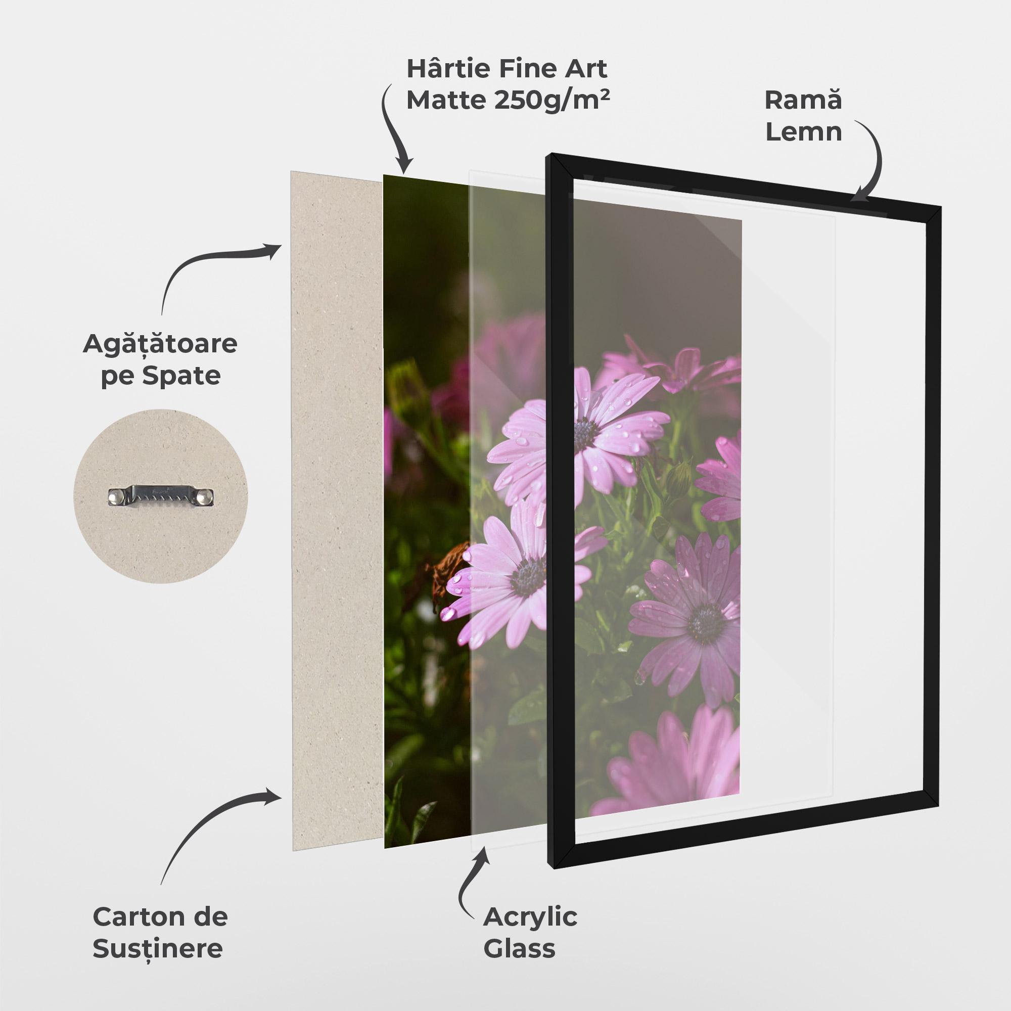 Poster Înrămat Purple Daisy mockup 1